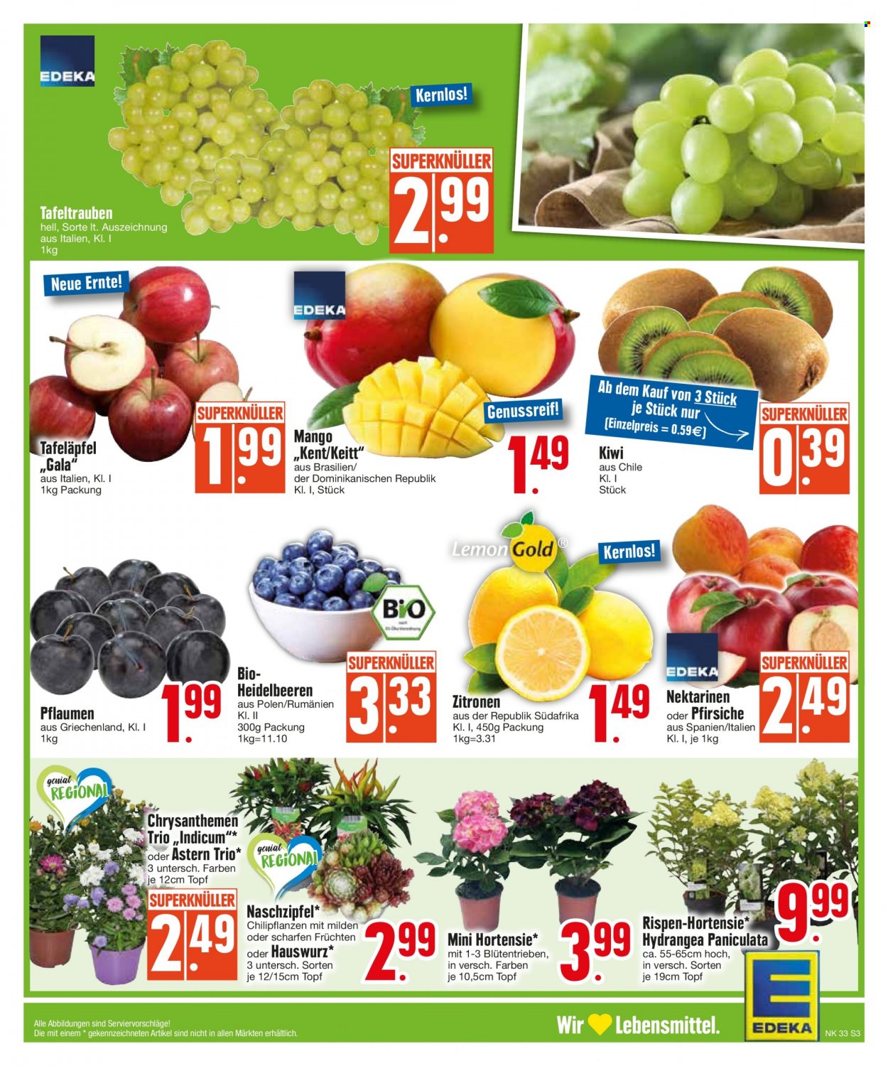 Edeka Prospekte  - 14.08.2023 - 19.08.2023. Seite 3