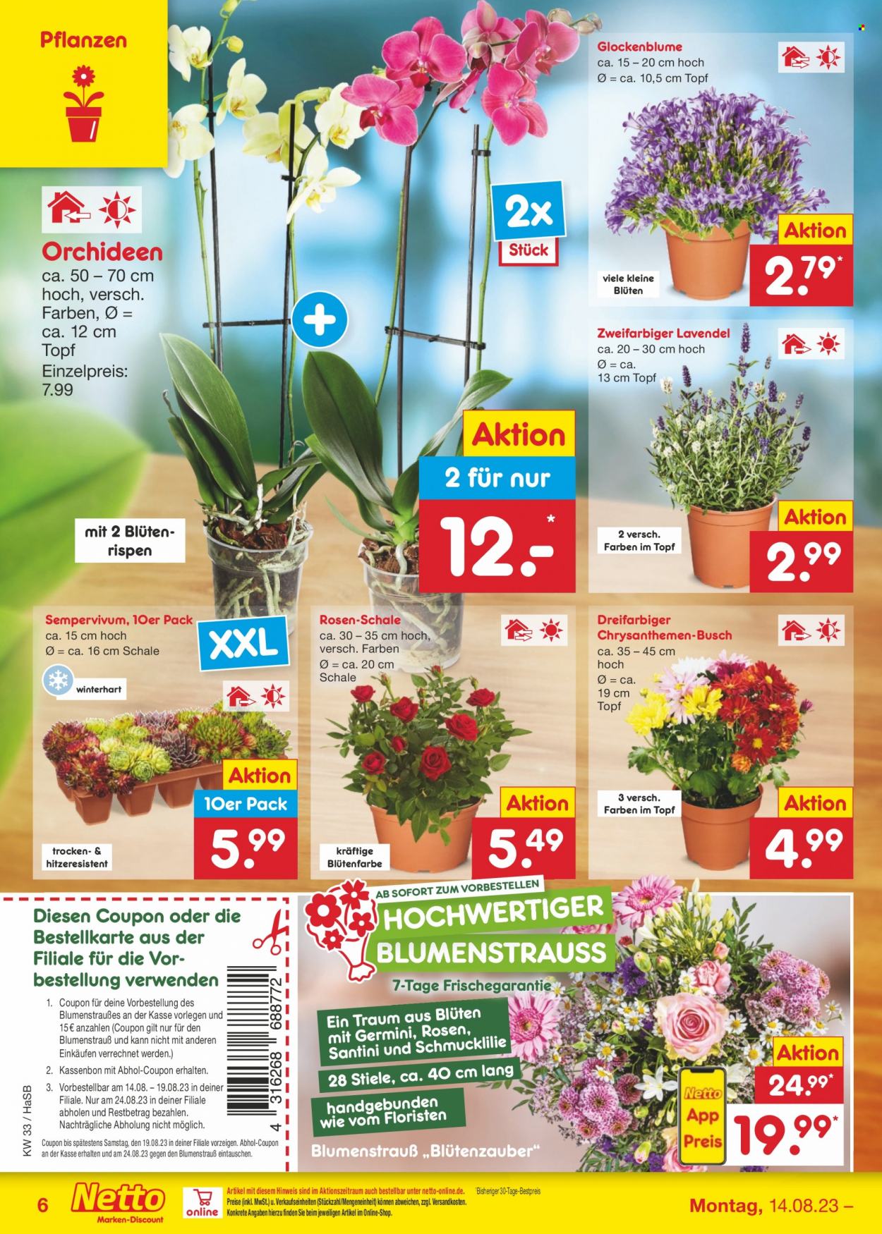 Netto Marken-Discount Prospekte  - 14.08.2023 - 19.08.2023. Seite 6