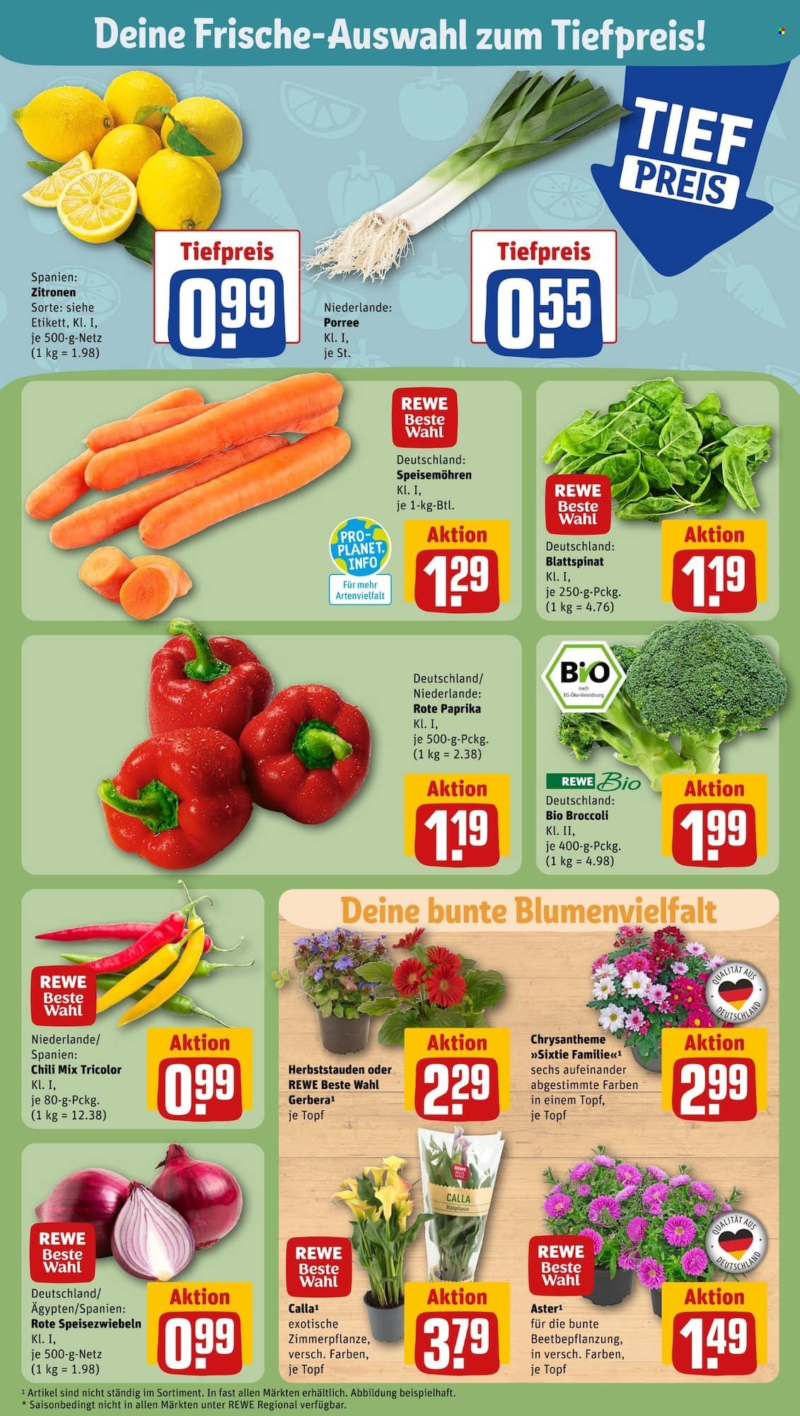 REWE Prospekte  - 14.08.2023 - 19.08.2023. Seite 7