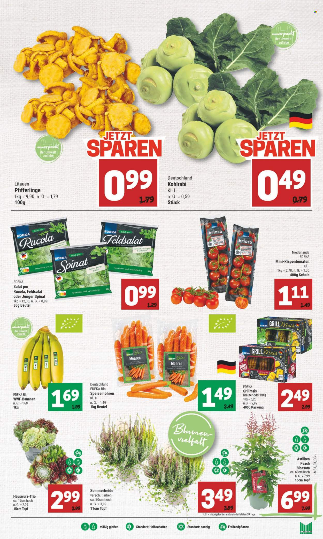 Marktkauf Prospekte  - 14.08.2023 - 19.08.2023. Seite 3