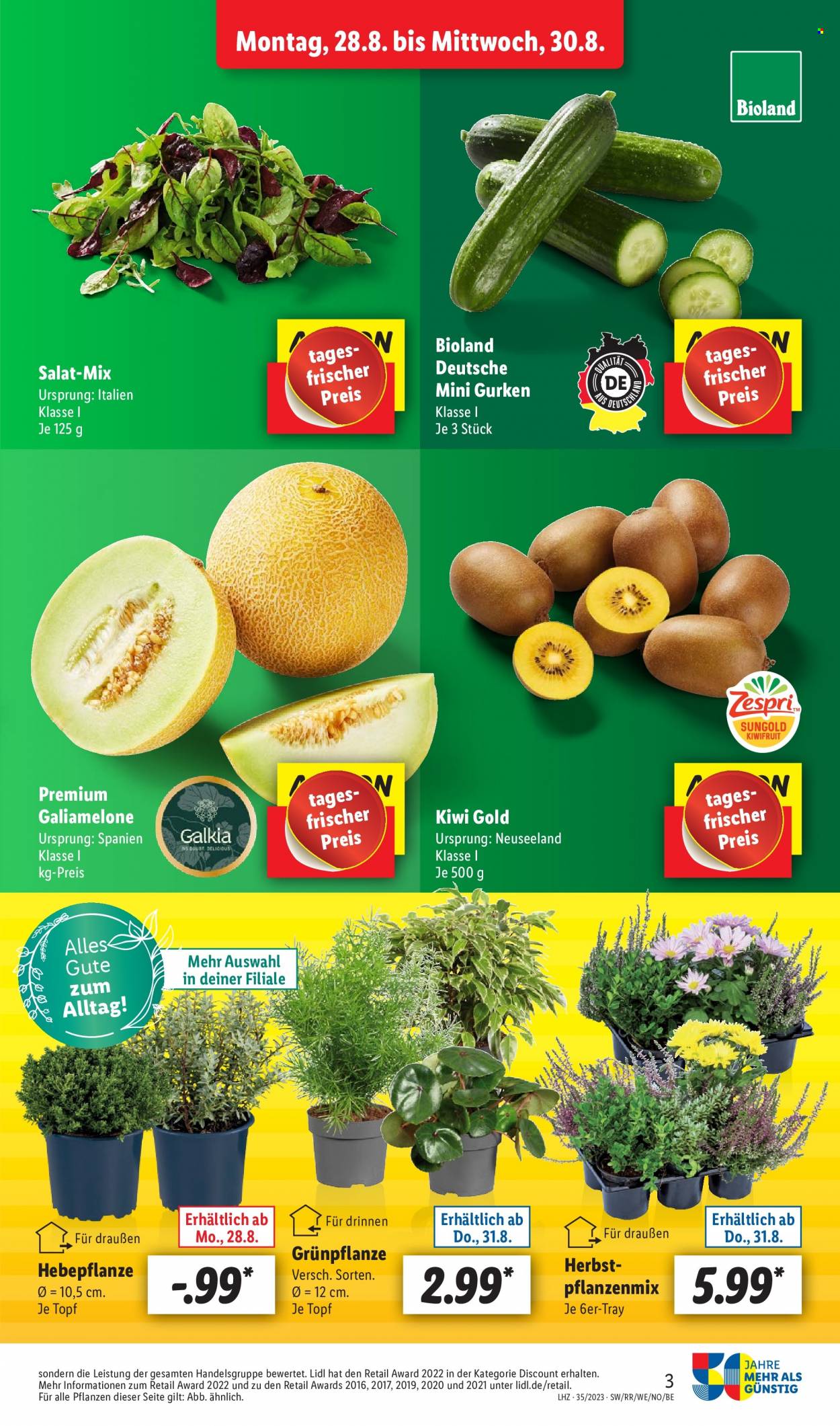 Lidl Prospekte  - 28.08.2023 - 2.09.2023. Seite 3