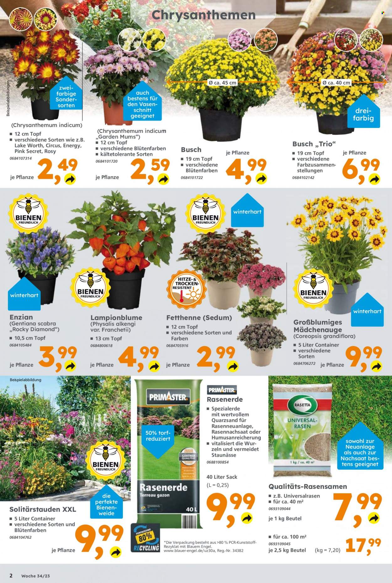 Globus Baumarkt Prospekte  - 21.08.2023 - 26.08.2023. Seite 2