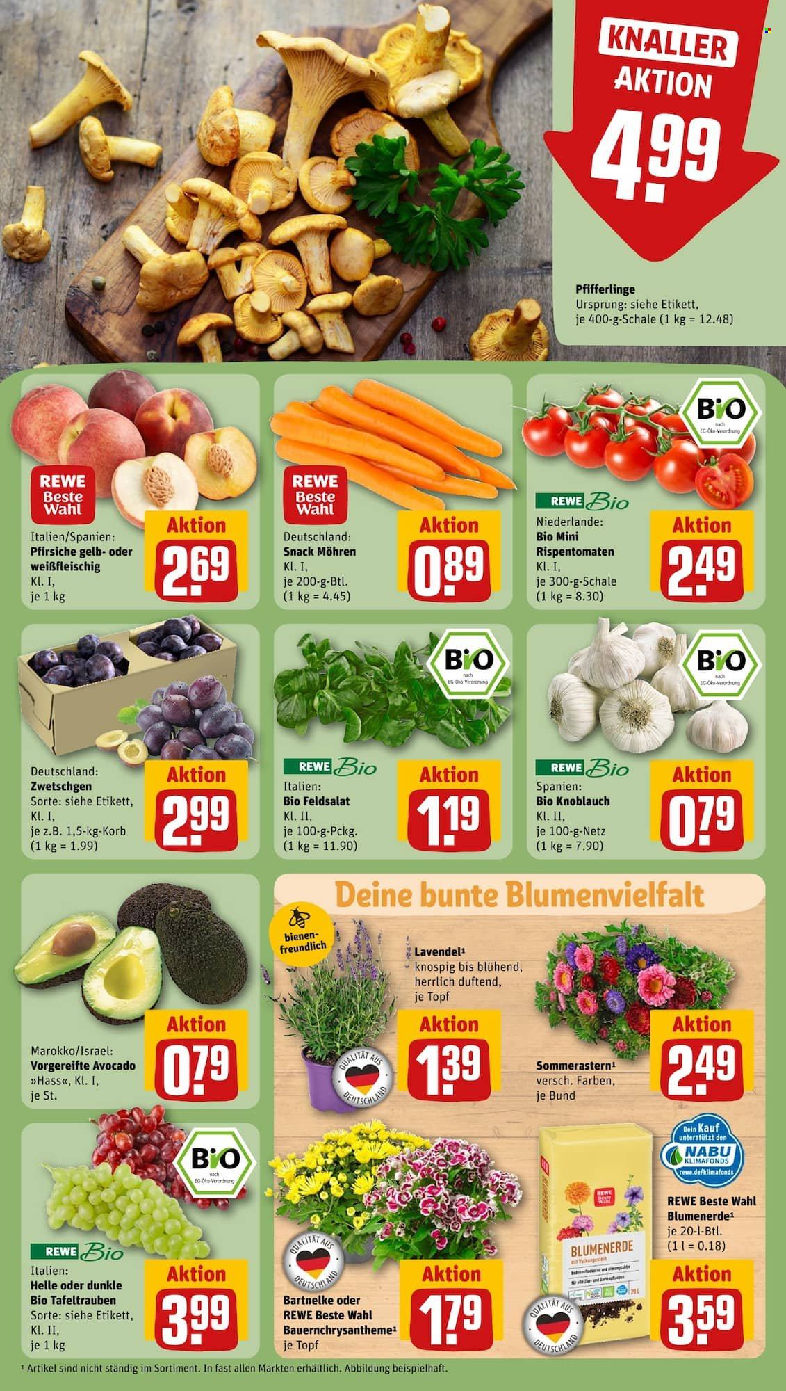 REWE Prospekte  - 21.08.2023 - 26.08.2023. Seite 7