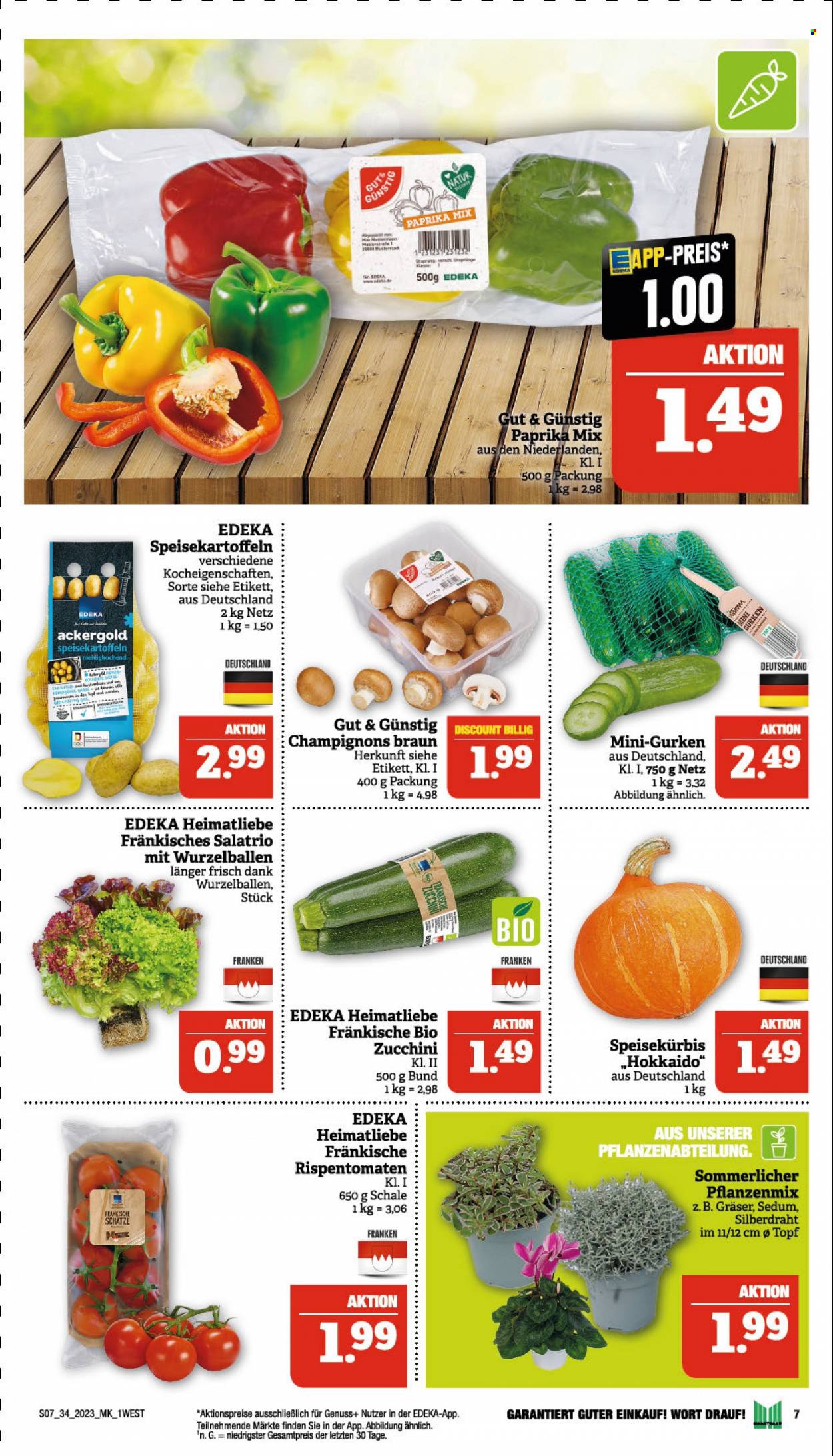 Marktkauf Prospekte  - 21.08.2023 - 26.08.2023. Seite 7