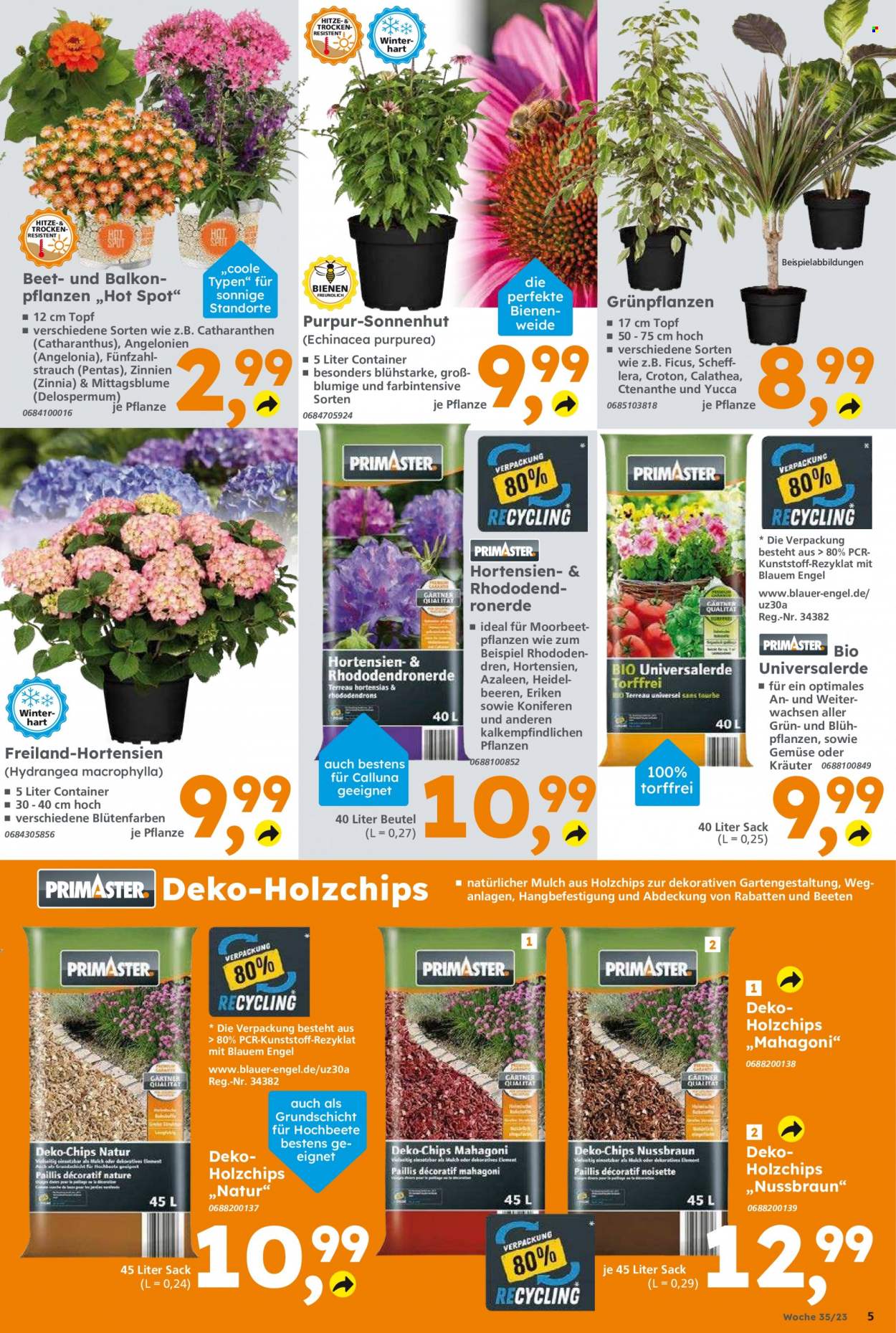 Globus Baumarkt Prospekte  - 28.08.2023 - 2.09.2023. Seite 5