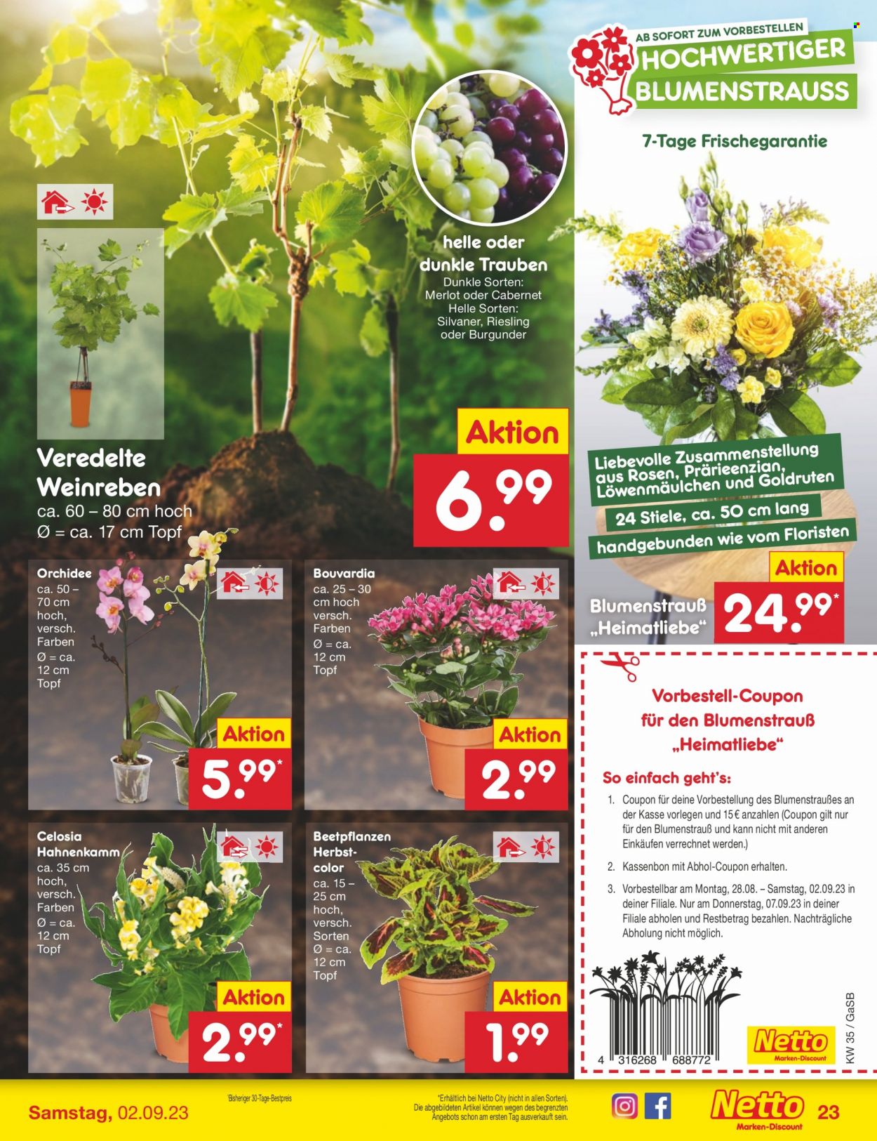 Netto Marken-Discount Prospekte  - 28.08.2023 - 2.09.2023. Seite 25