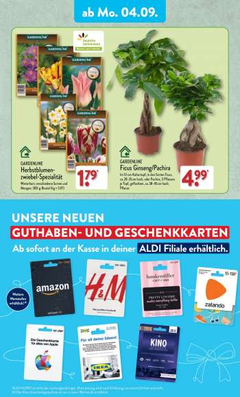 thumbnail - GARDENLINE Ficus Ginseng/Pachira