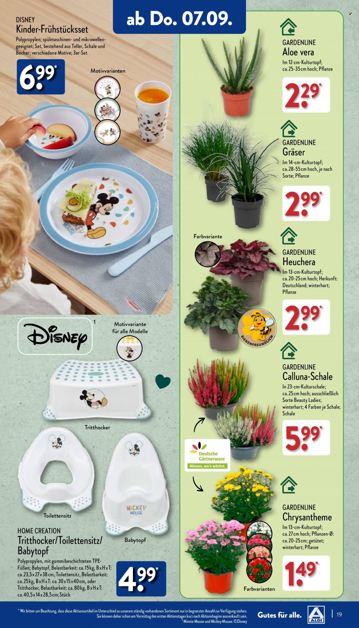 ALDI Nord Prospekte  - 4.09.2023 - 9.09.2023. Seite 19