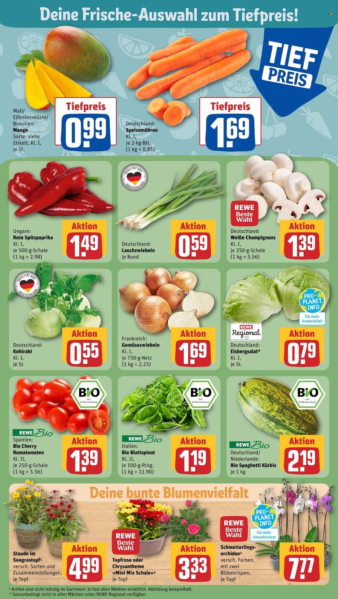 REWE Prospekte  - 28.08.2023 - 2.09.2023. Seite 11