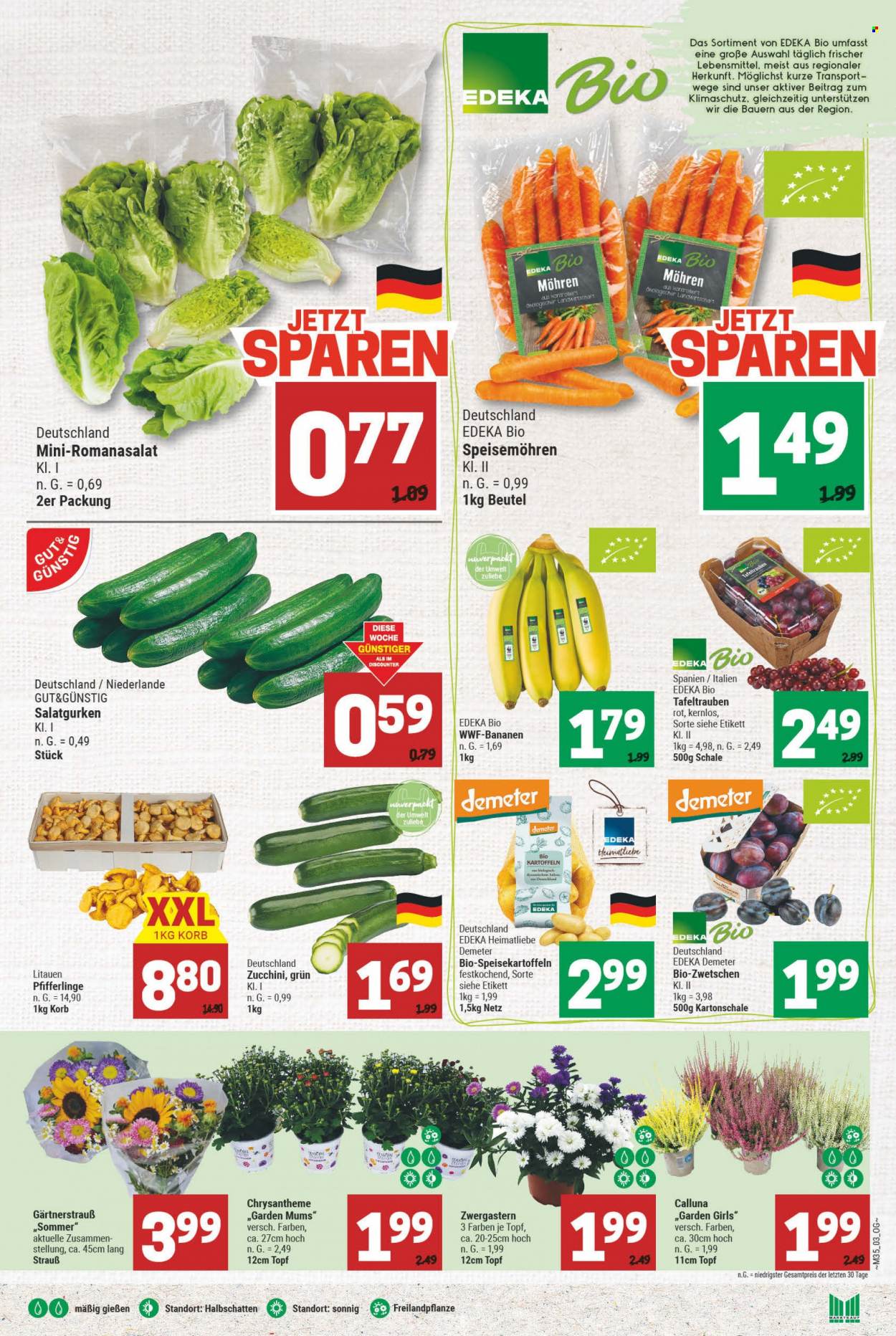 Marktkauf Prospekte  - 28.08.2023 - 2.09.2023. Seite 3