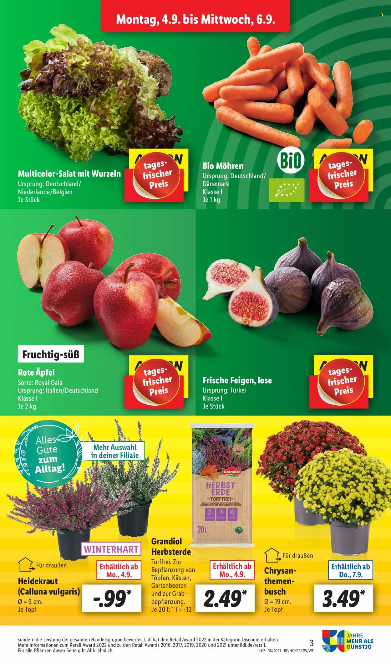 Lidl Prospekte  - 4.09.2023 - 9.09.2023. Seite 3
