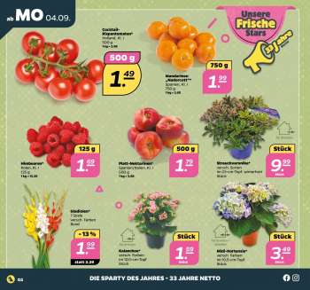 thumbnail - Midi- Hortensie* versch. Farben im 10,5-cm-Topf Stück