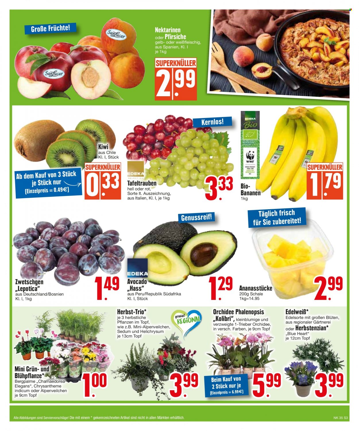 Edeka Prospekte  - 28.08.2023 - 2.09.2023. Seite 3