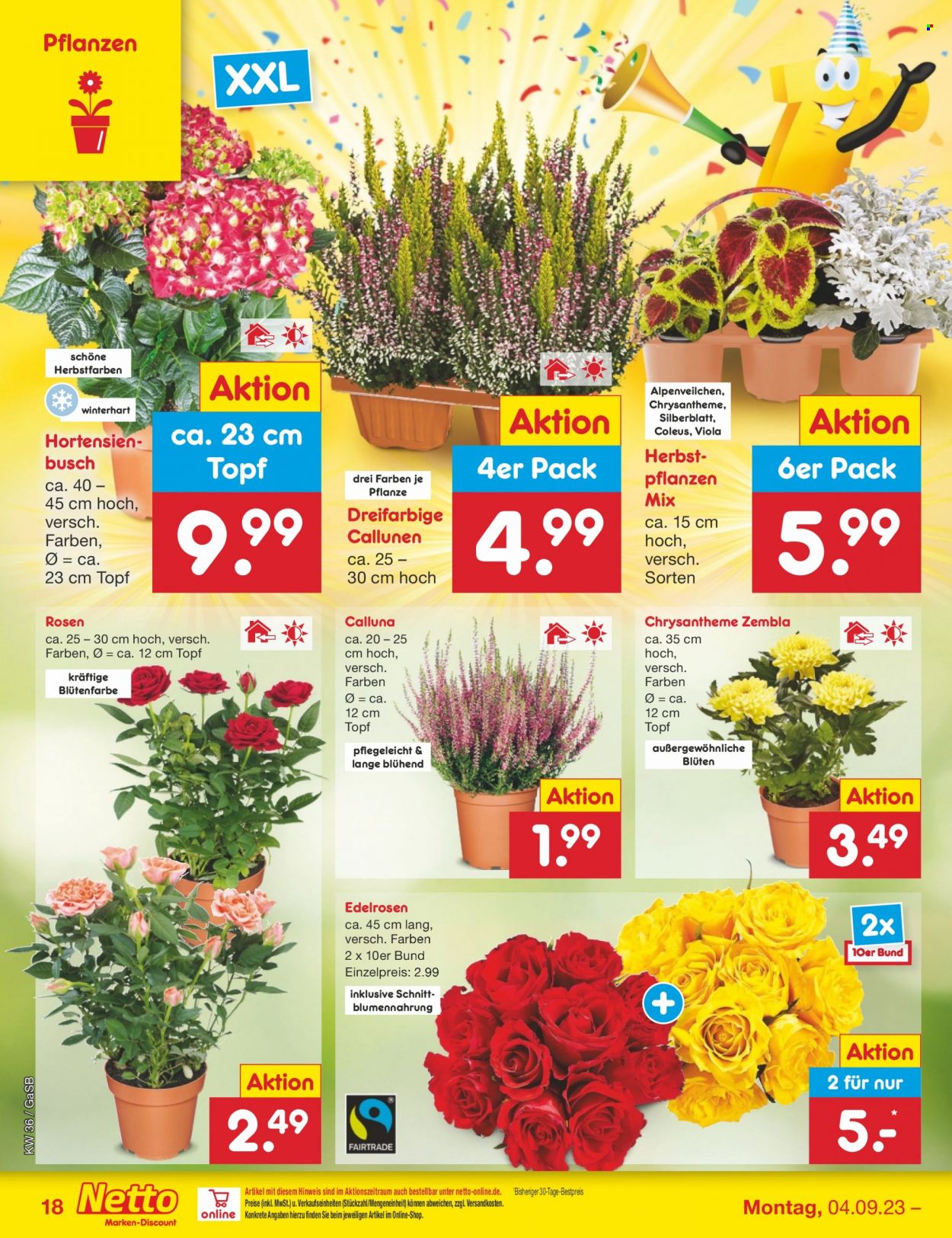 Netto Marken-Discount Prospekte  - 4.09.2023 - 9.09.2023. Seite 18