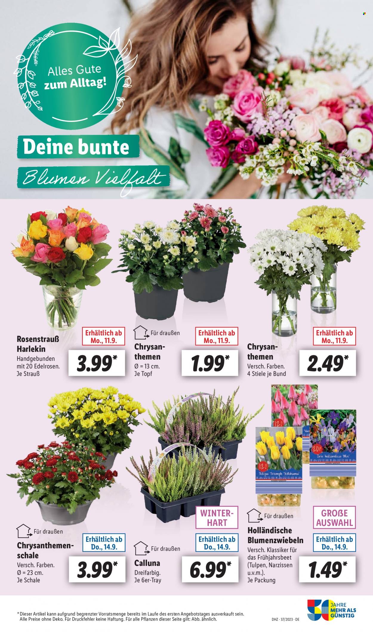 Lidl Prospekte  - 11.09.2023 - 16.09.2023. Seite 57