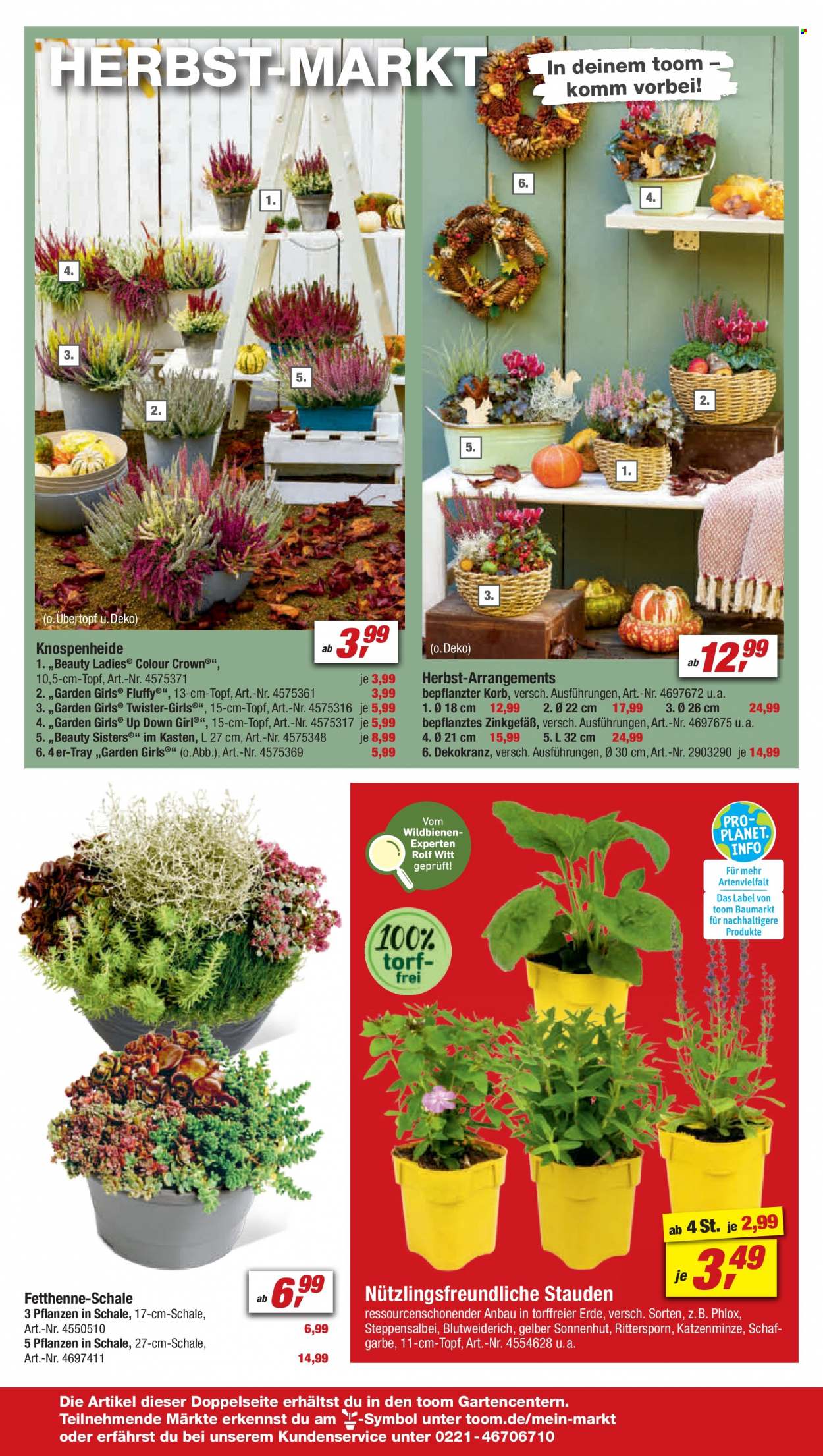 toom Baumarkt Prospekte  - 9.09.2023 - 15.09.2023. Seite 6