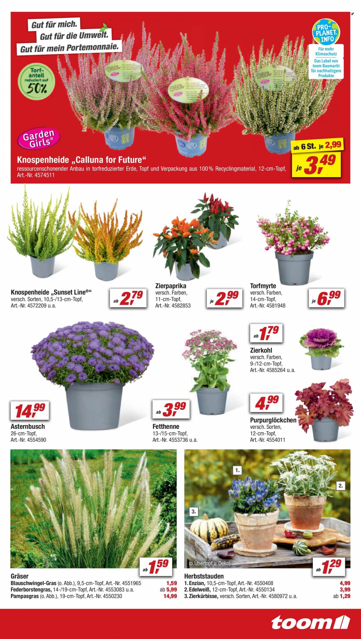 toom Baumarkt Prospekte  - 9.09.2023 - 15.09.2023. Seite 7