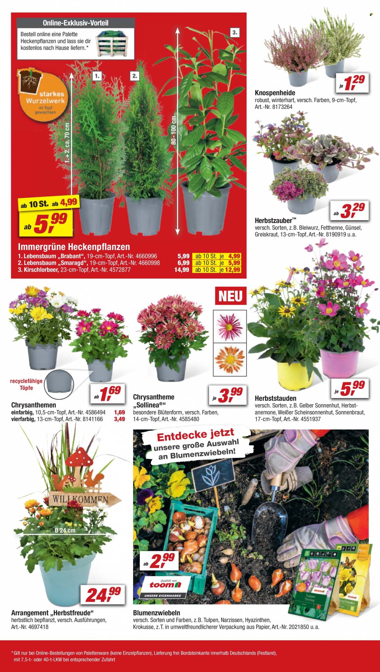 toom Baumarkt Prospekte  - 9.09.2023 - 15.09.2023. Seite 8