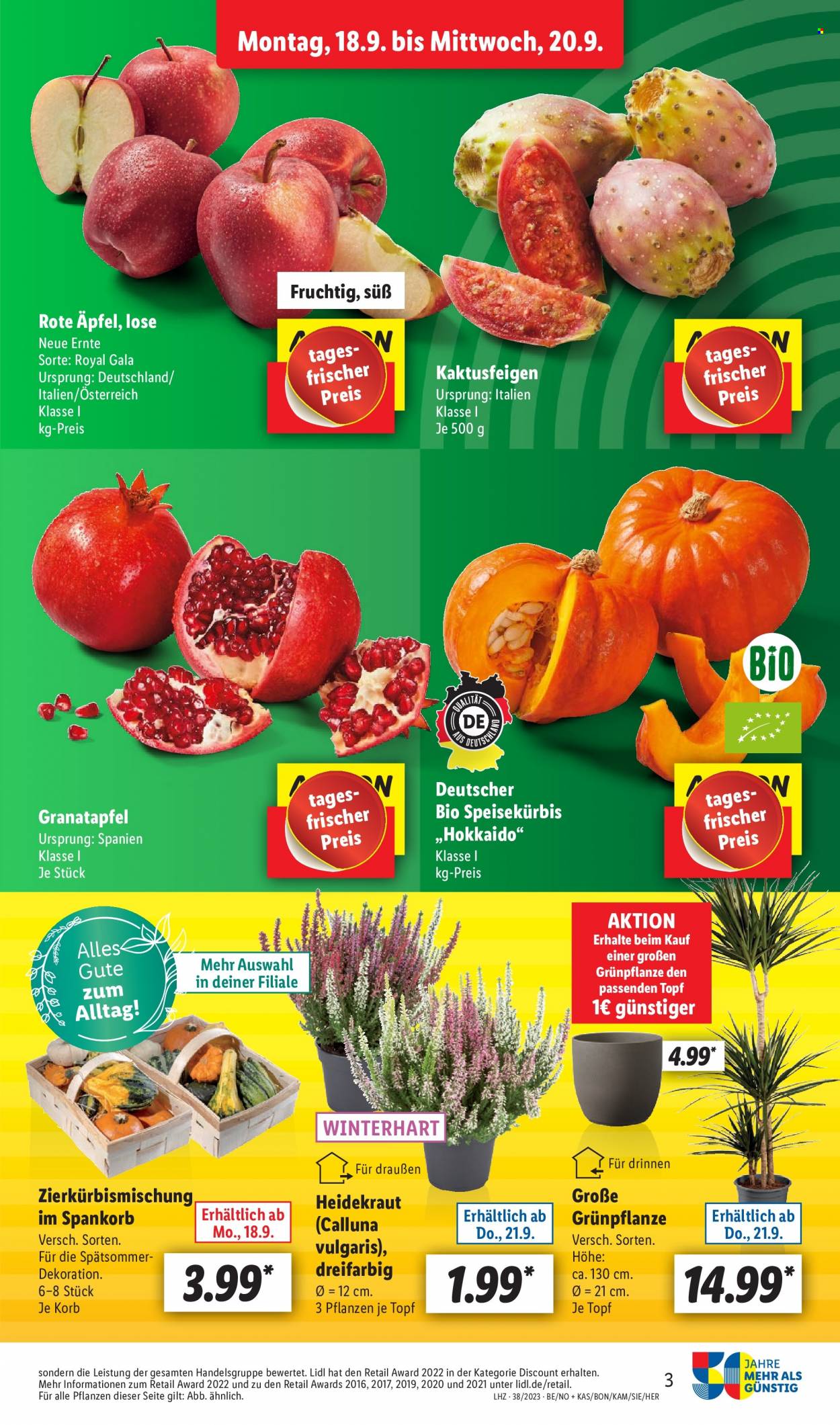 Lidl Prospekte  - 18.09.2023 - 23.09.2023. Seite 3