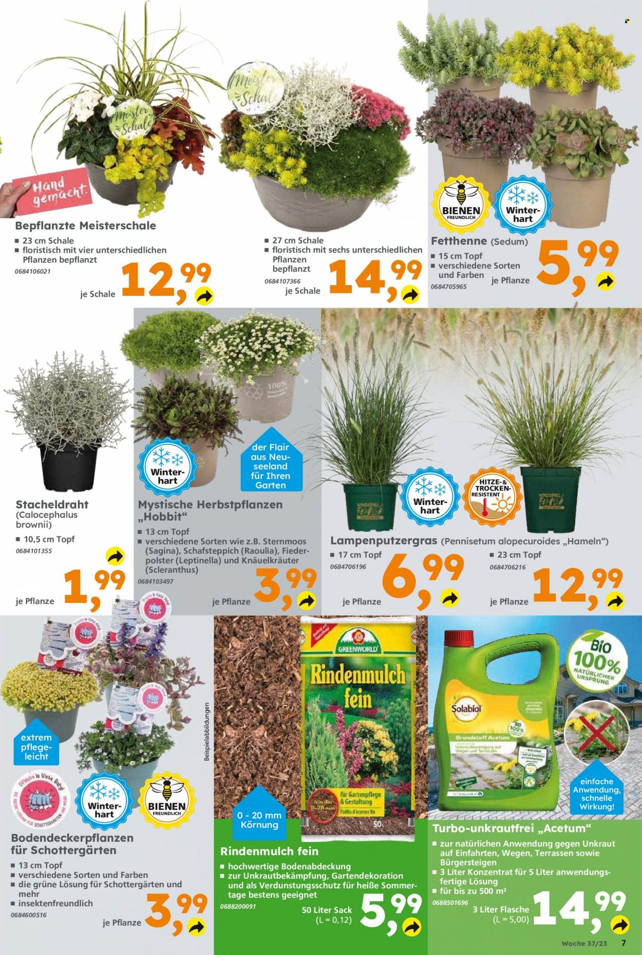 Globus Baumarkt Prospekte  - 11.09.2023 - 16.09.2023. Seite 7