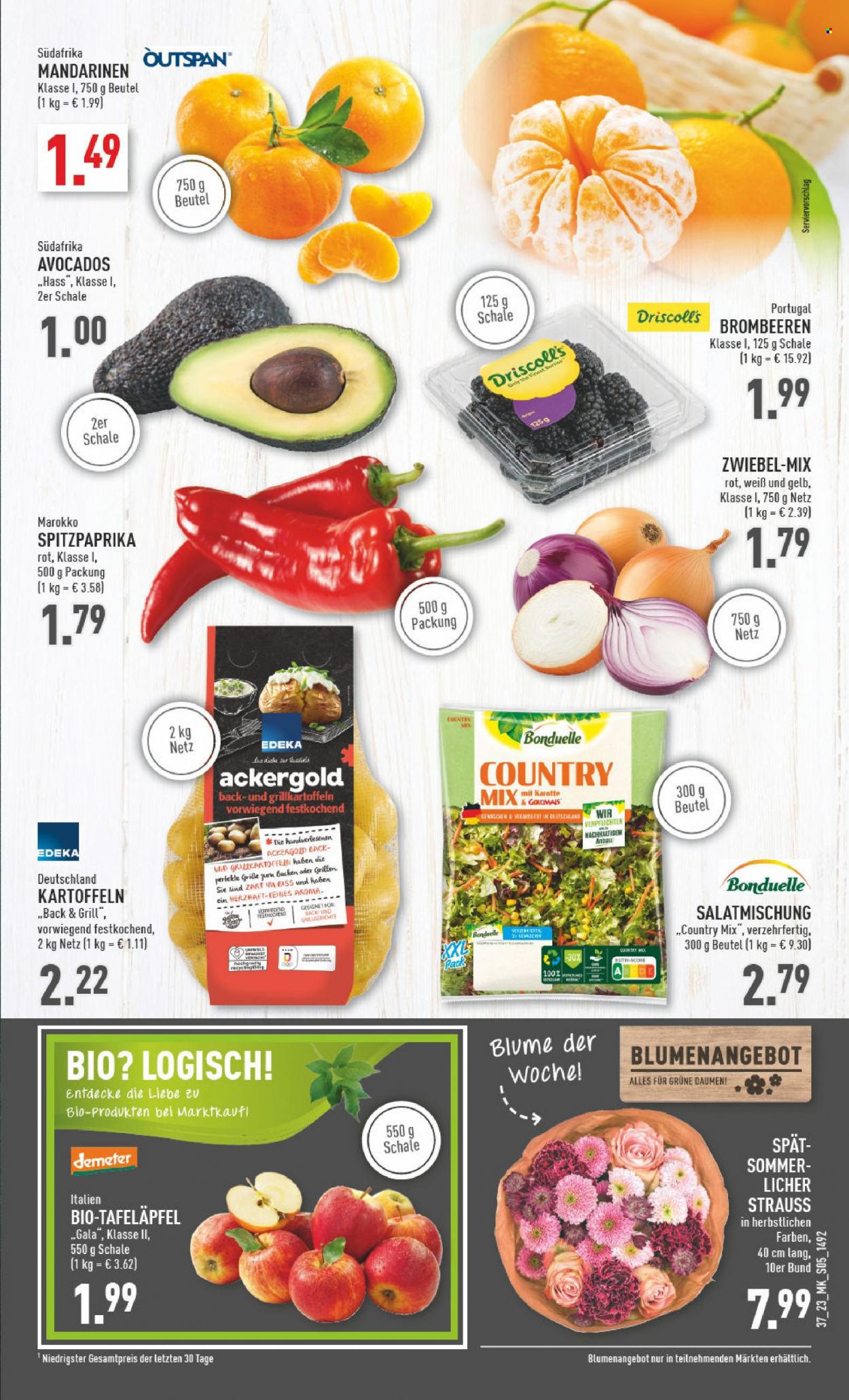Marktkauf Prospekte  - 11.09.2023 - 16.09.2023. Seite 7