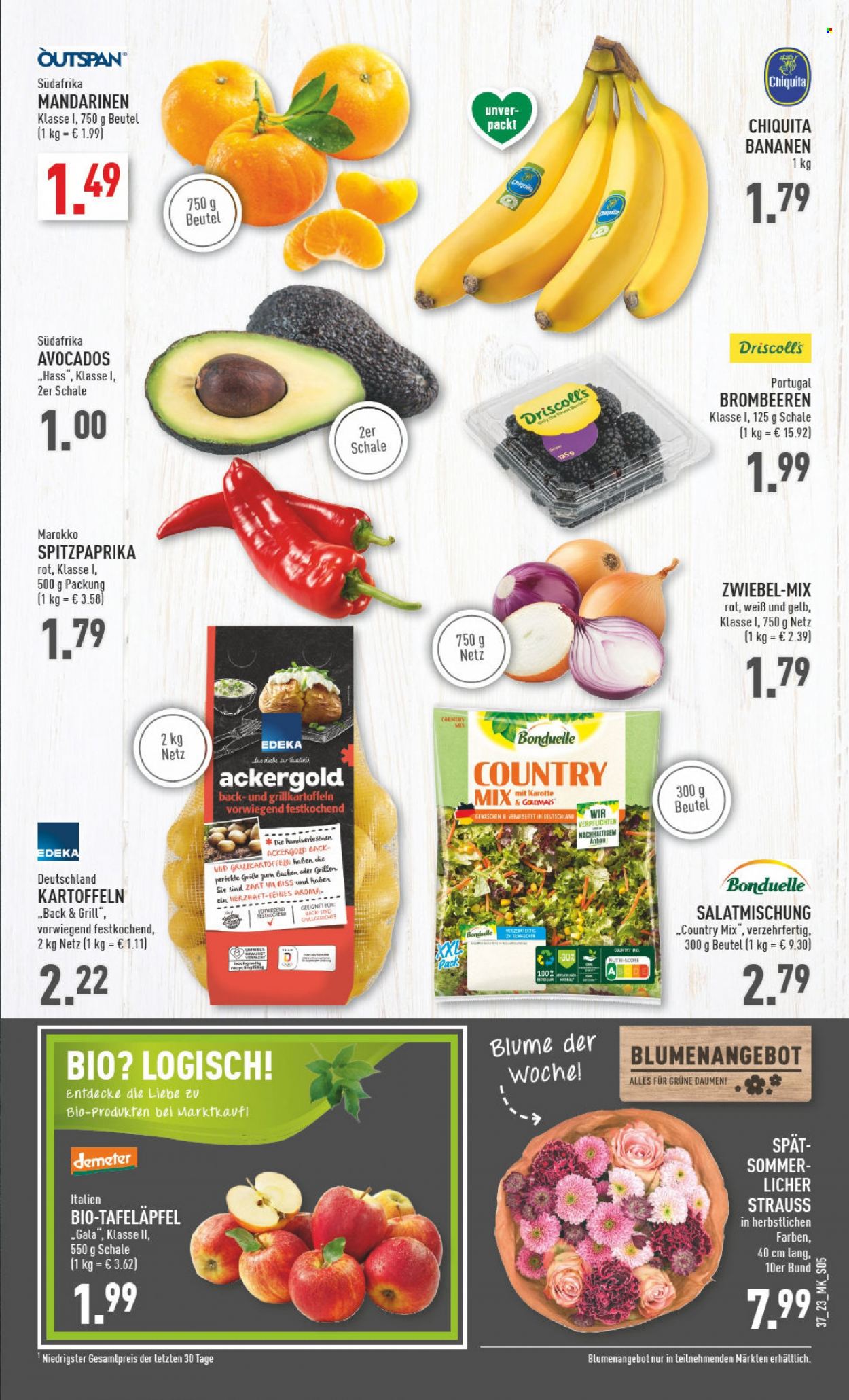 Marktkauf Prospekte  - 11.09.2023 - 16.09.2023. Seite 5
