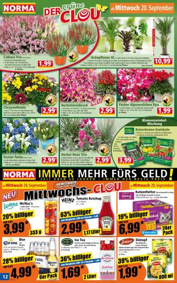 thumbnail - Grünpflanze XL