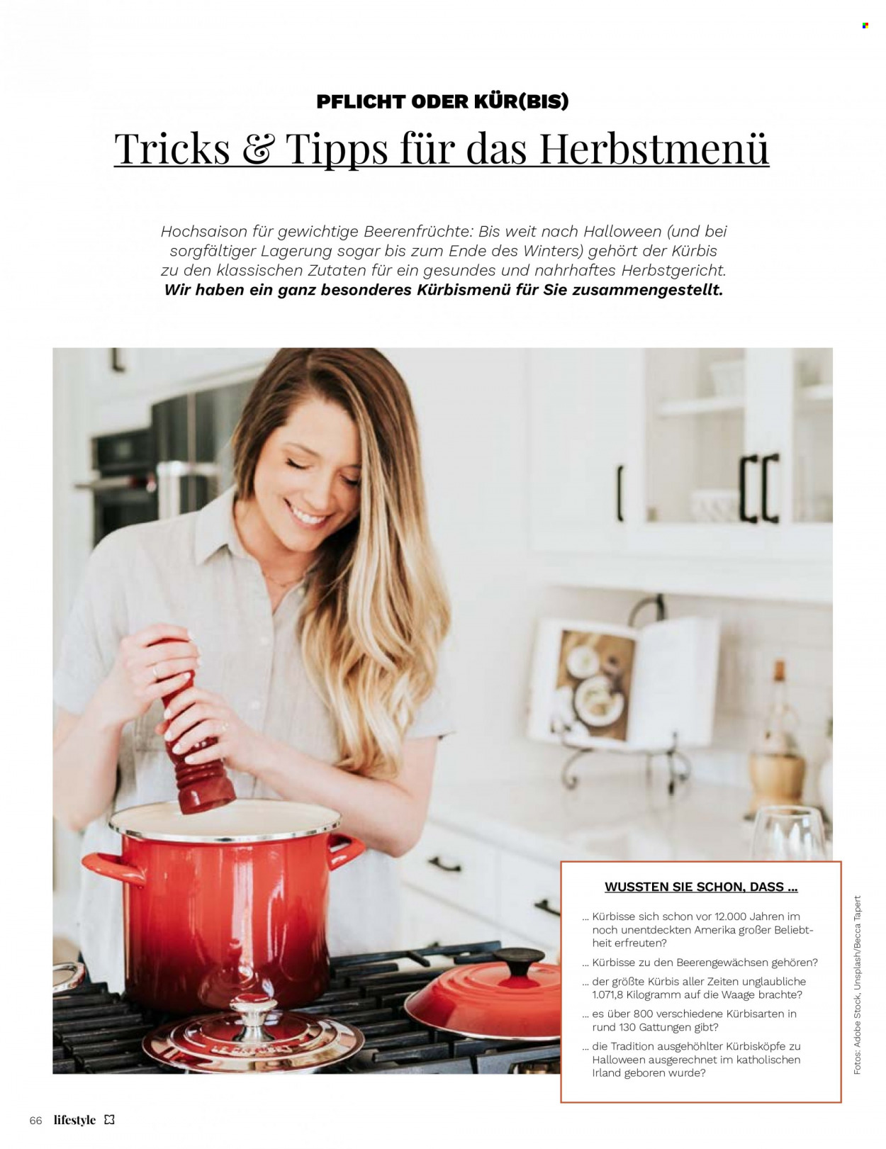 Müller Prospekte  - 15.09.2023 - 31.10.2023. Seite 66