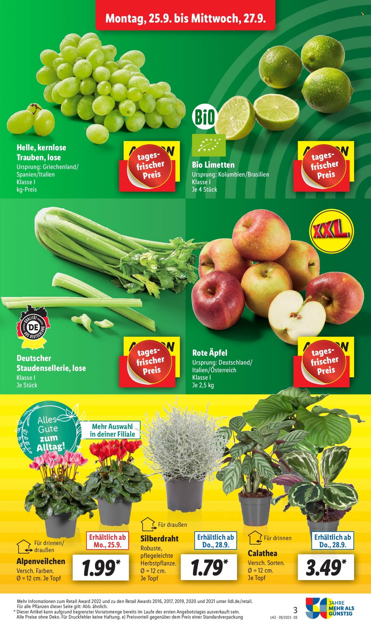 Lidl Prospekte  - 25.09.2023 - 30.09.2023. Seite 3