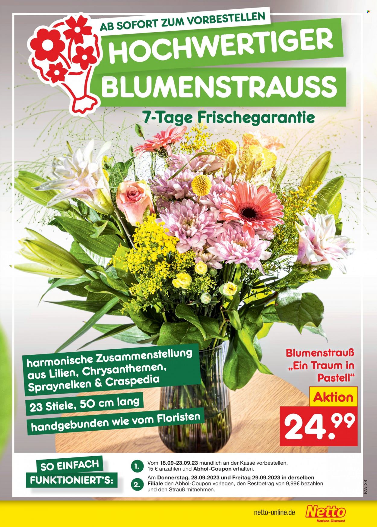 Netto Marken-Discount Prospekte  - 18.09.2023 - 23.09.2023. Seite 13