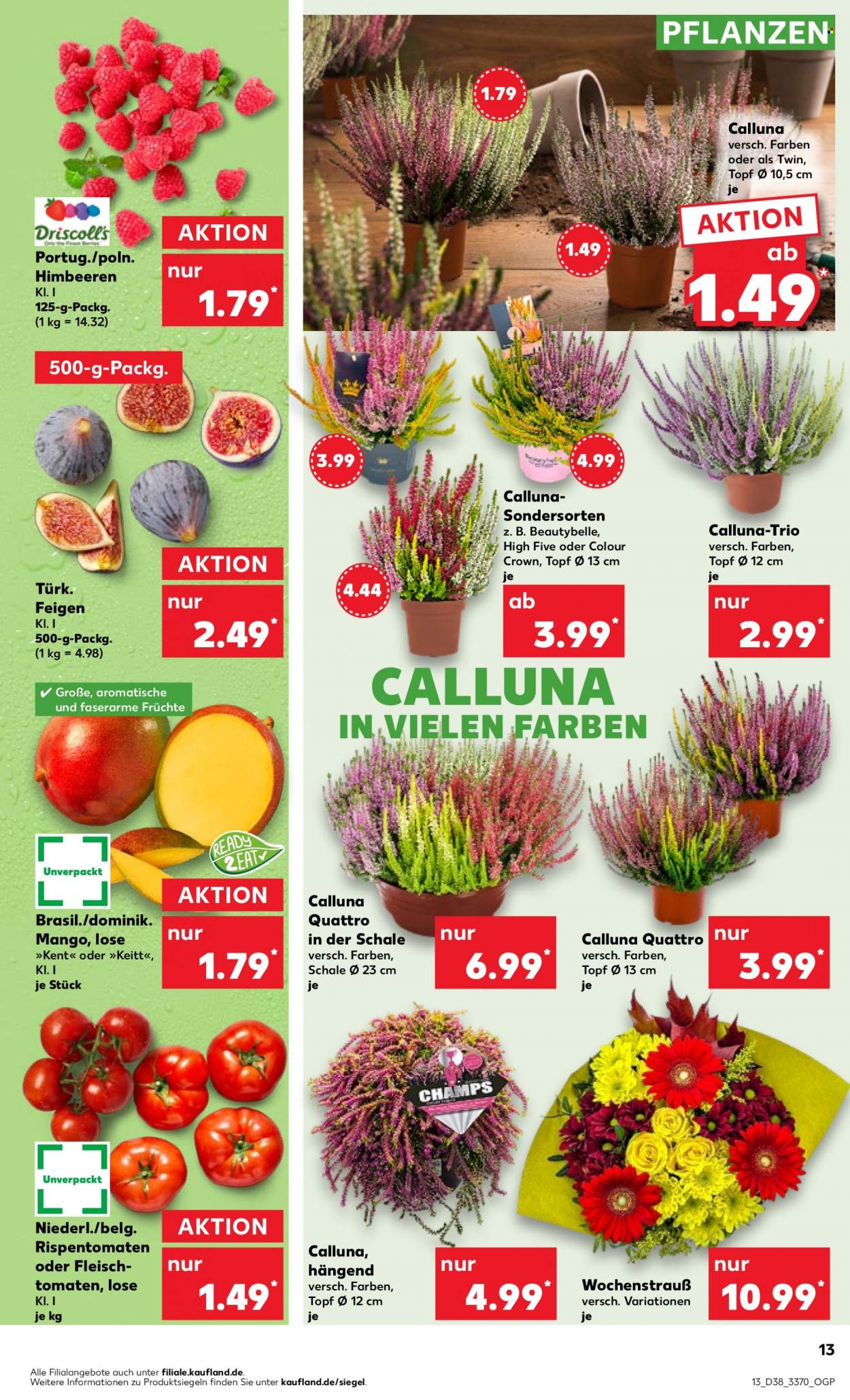Kaufland Prospekte  - 21.09.2023 - 27.09.2023. Seite 13