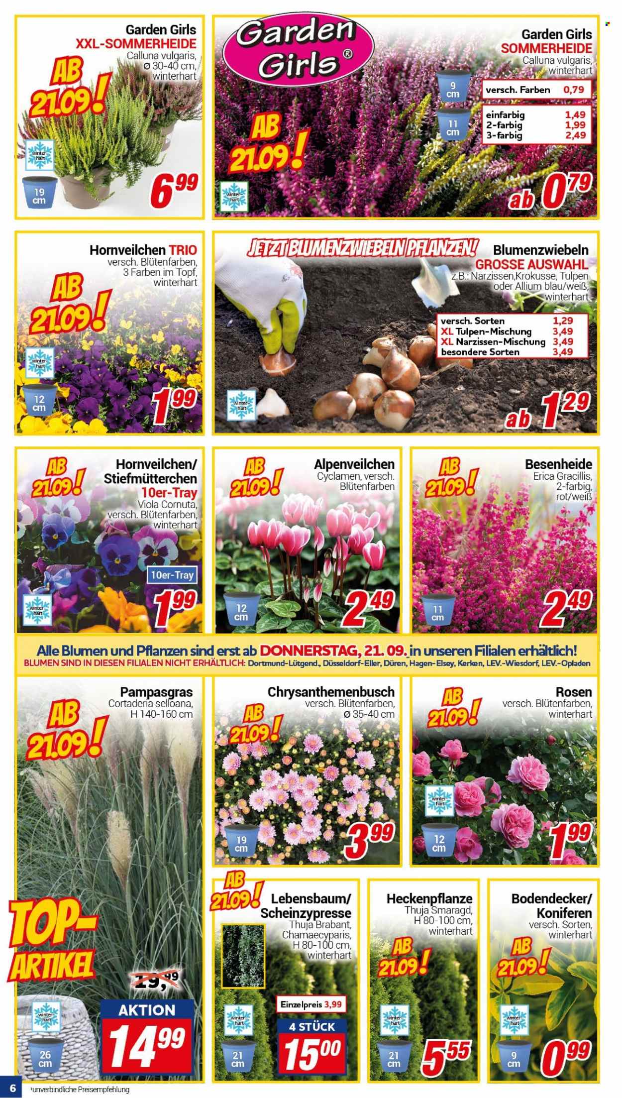 CENTERSHOP Prospekte  - 18.09.2023 - 23.09.2023. Seite 6