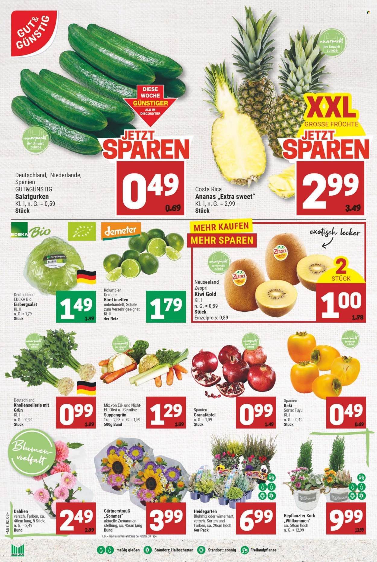 Marktkauf Prospekte  - 18.09.2023 - 23.09.2023. Seite 2