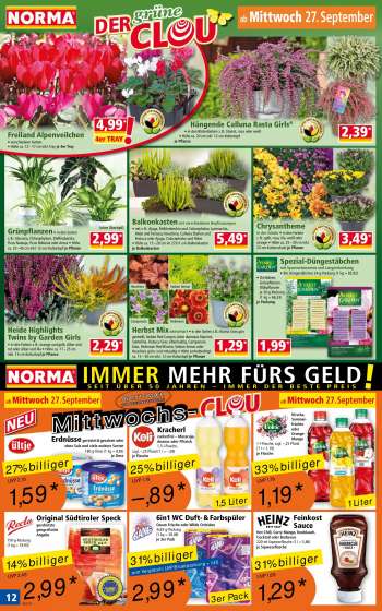 thumbnail - Campanula Herbst Mix gestreift, Sedum Red Canyon, Aster dumosus blau/rot, Santolina, Festuca Gras silberlaubig, Campanula blau, Helenium Red Bicolor, Sedum lemon oder Heuchera grün- und rotlaubig