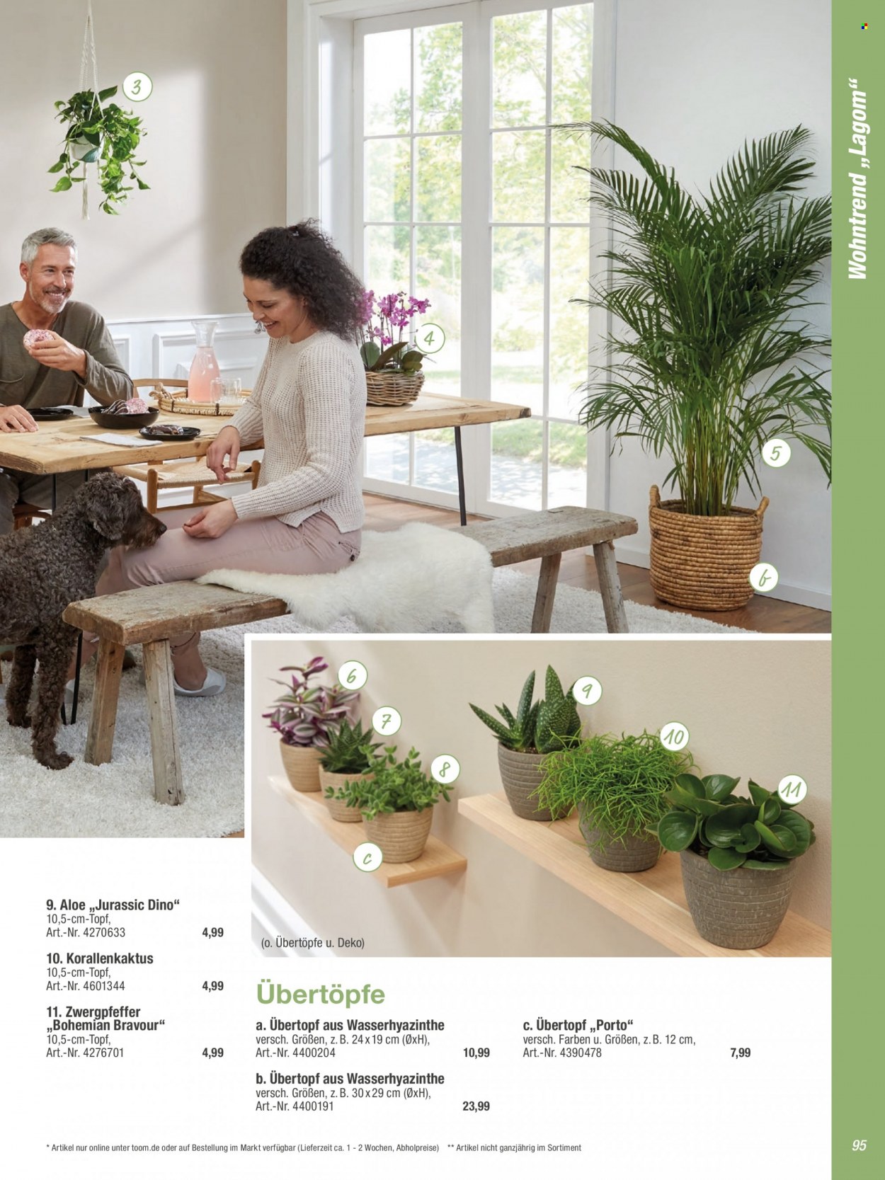 toom Baumarkt Prospekte  - 17.09.2023 - 31.03.2024. Seite 95