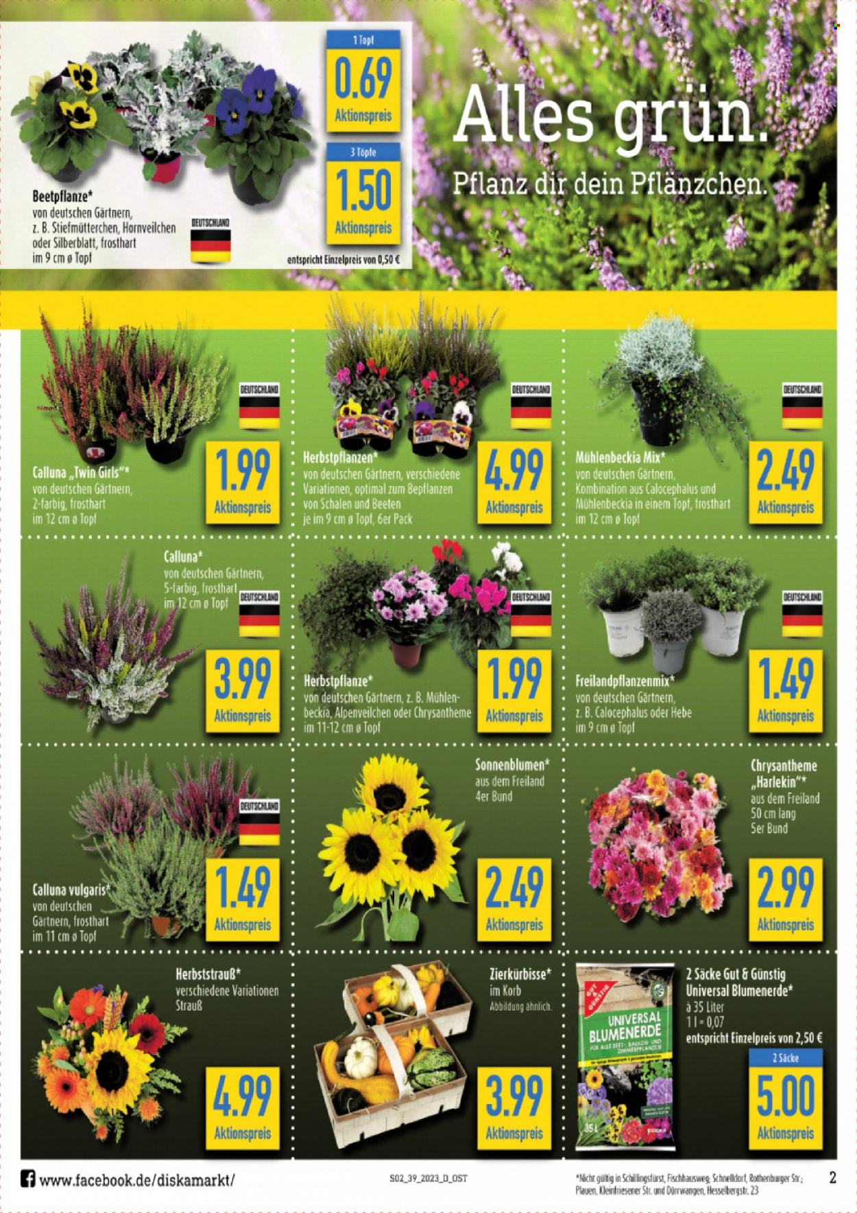 Diska Prospekte  - 25.09.2023 - 30.09.2023. Seite 2