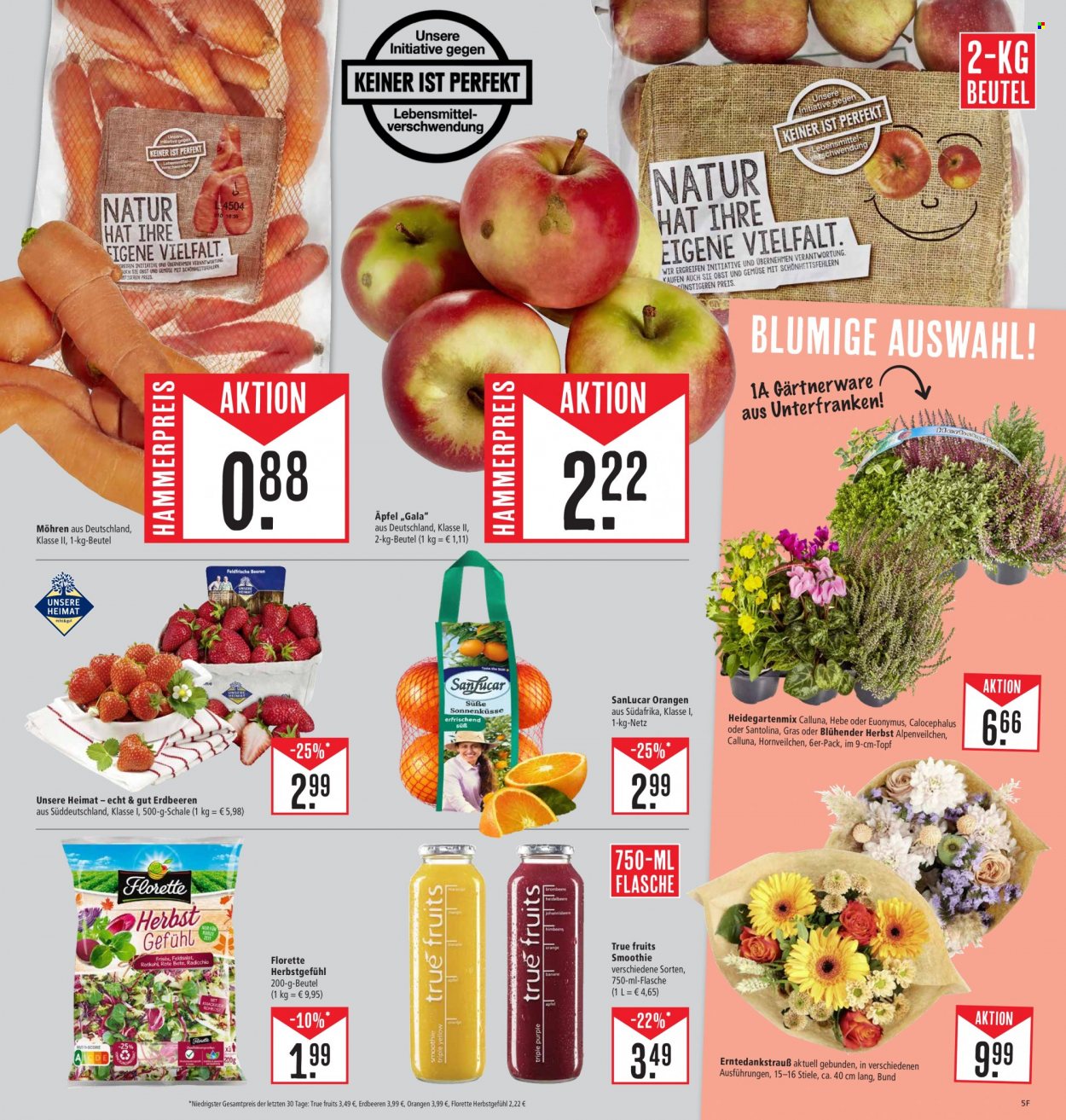 Marktkauf Prospekte  - 25.09.2023 - 30.09.2023. Seite 5
