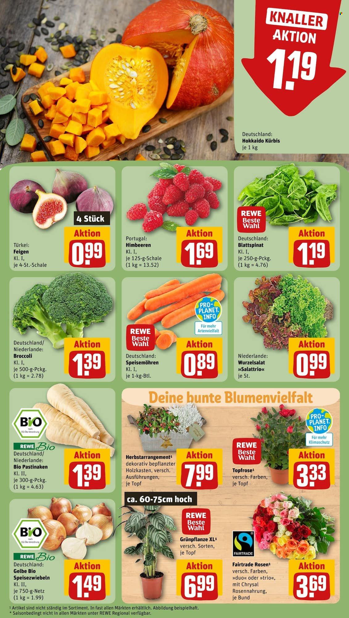 REWE Prospekte  - 25.09.2023 - 30.09.2023. Seite 11