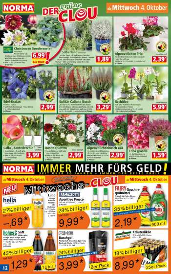 thumbnail - Calla „Zantedeschia”