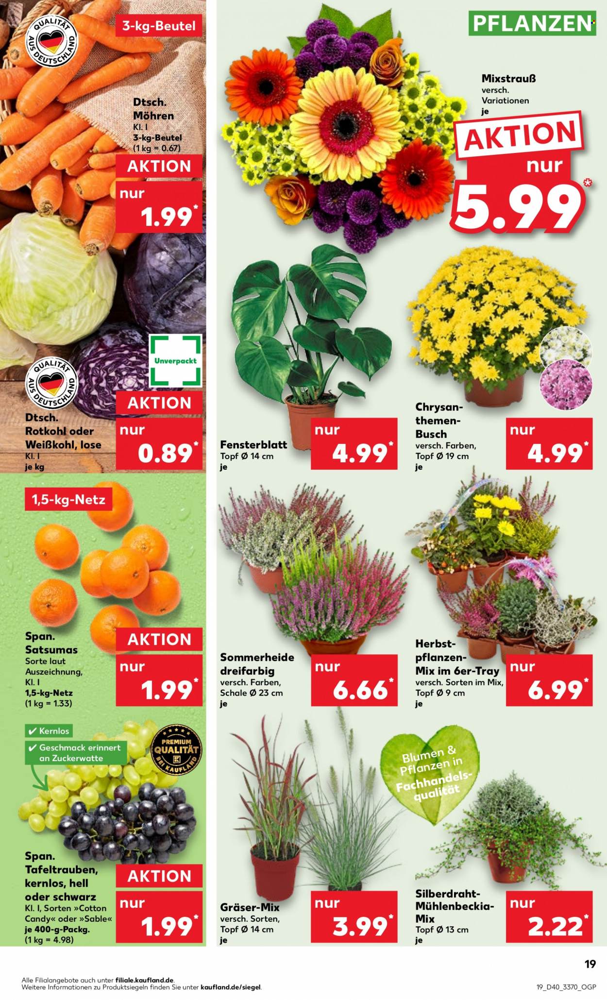 Kaufland Prospekte  - 5.10.2023 - 11.10.2023. Seite 19