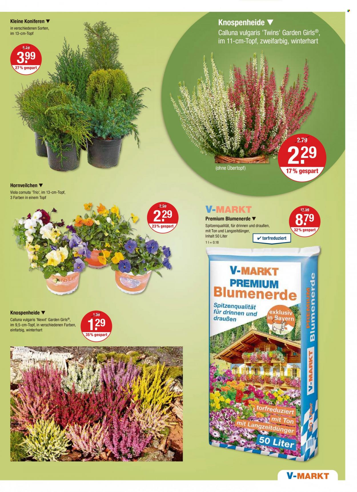 V-Markt Prospekte  - 12.10.2023 - 18.10.2023. Seite 17