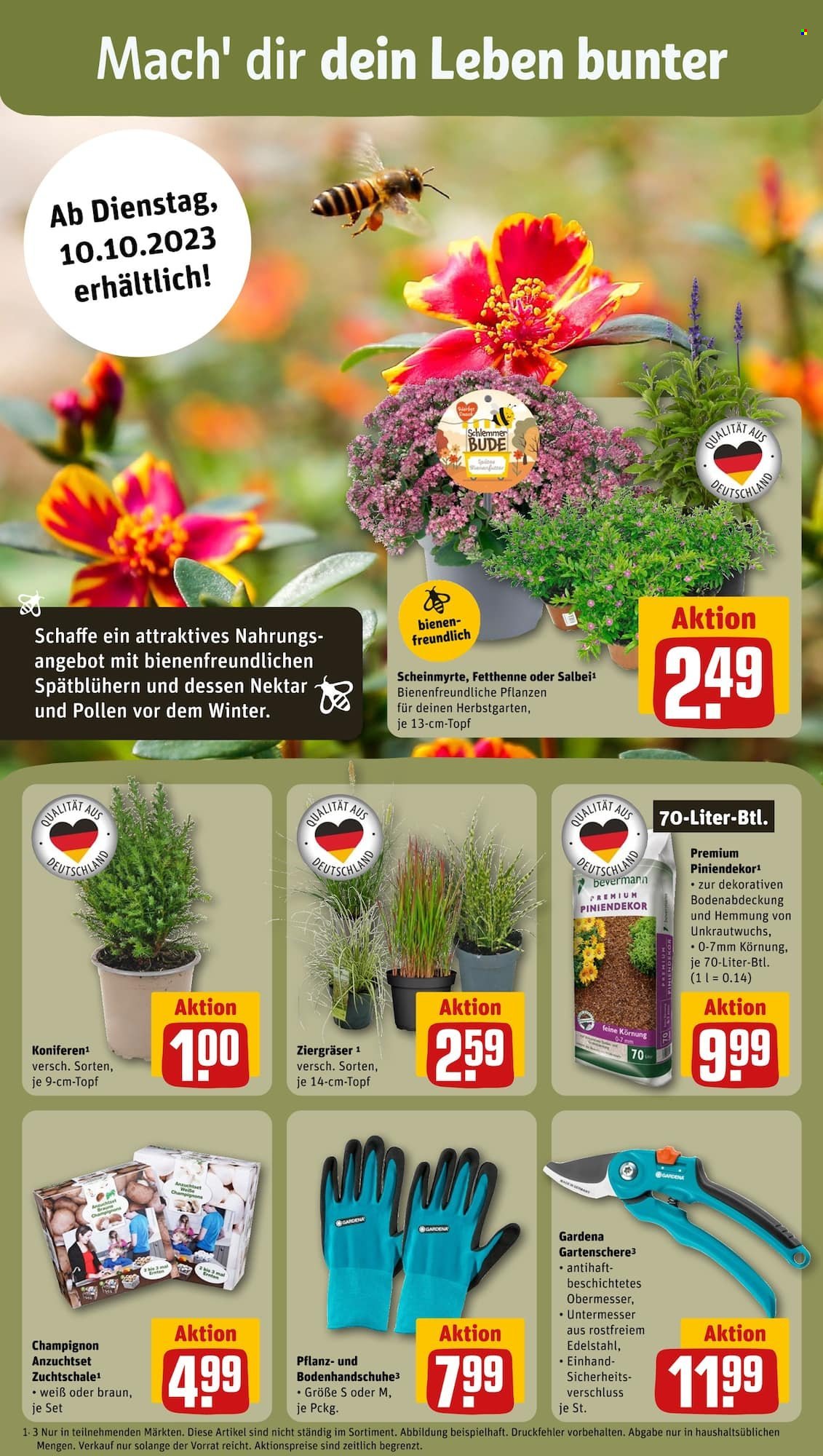 REWE Prospekte  - 9.10.2023 - 14.10.2023. Seite 13