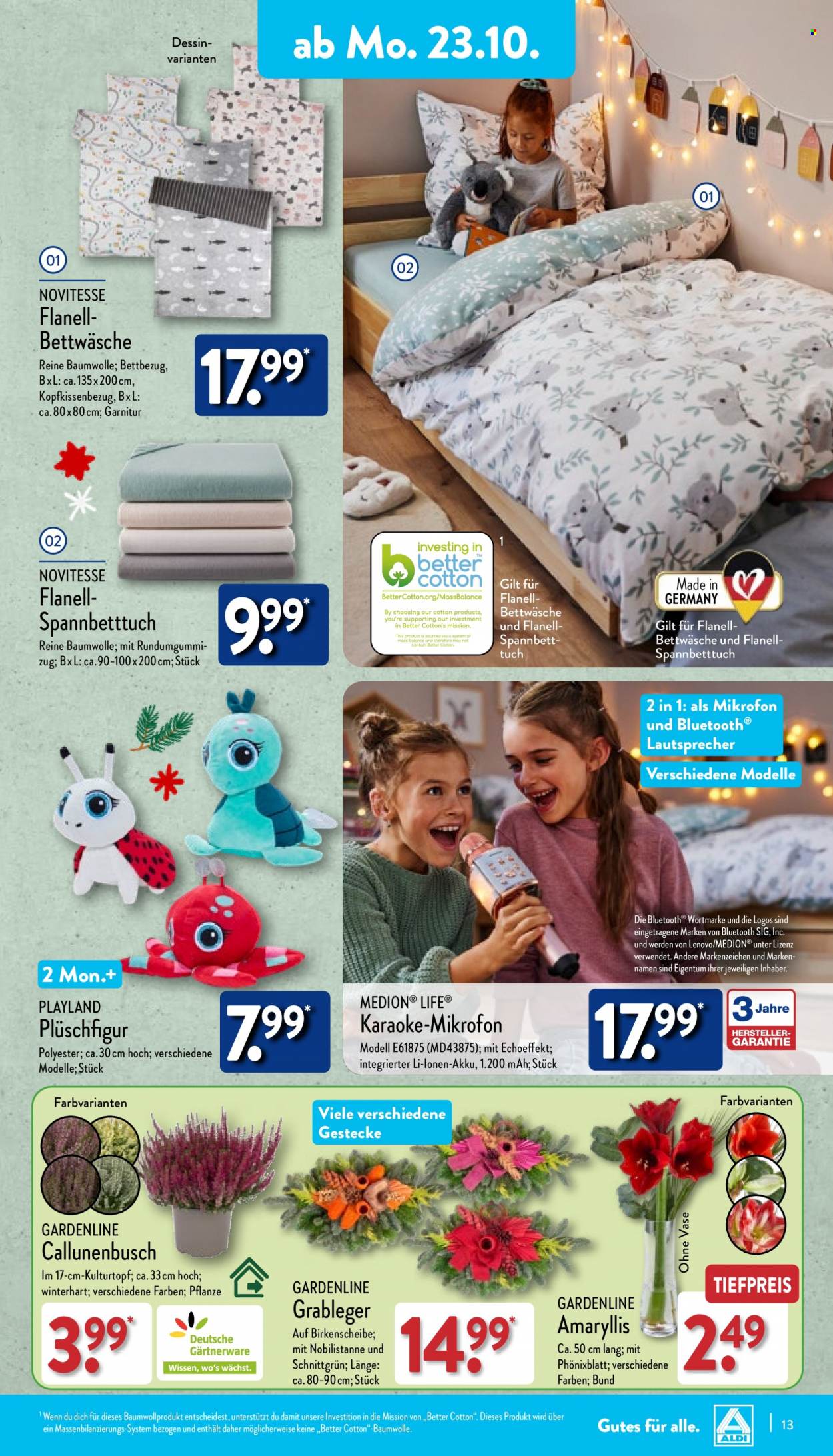 ALDI Nord Prospekte  - 23.10.2023 - 28.10.2023. Seite 13