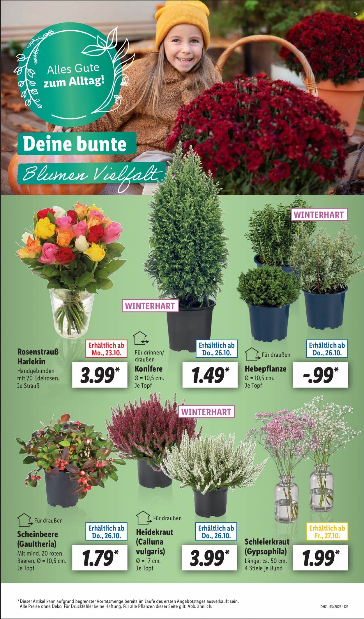 Lidl Prospekte  - 23.10.2023 - 28.10.2023. Seite 7
