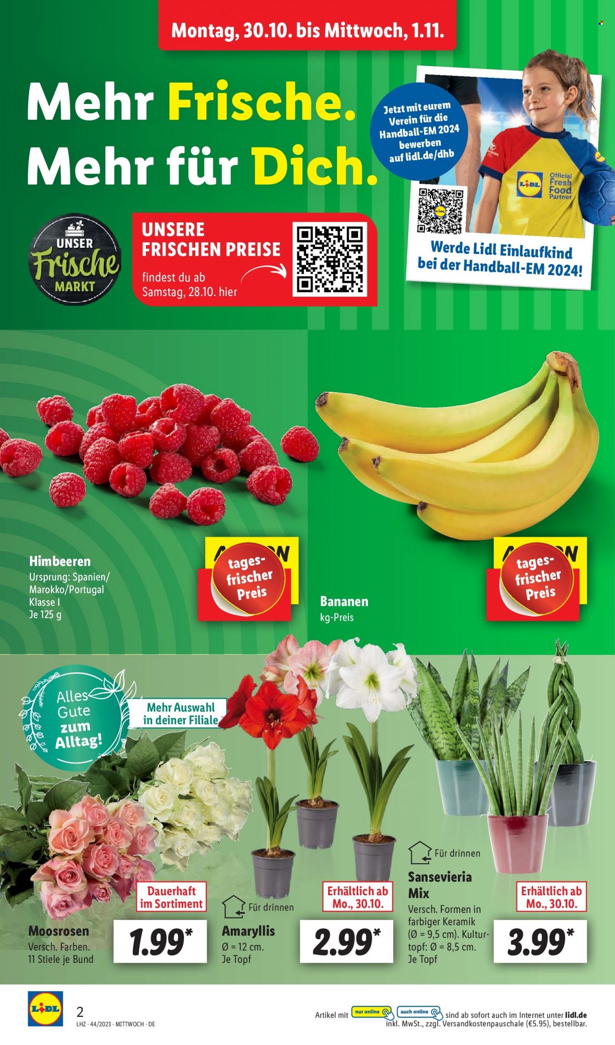 Lidl Prospekte  - 30.10.2023 - 4.11.2023. Seite 2
