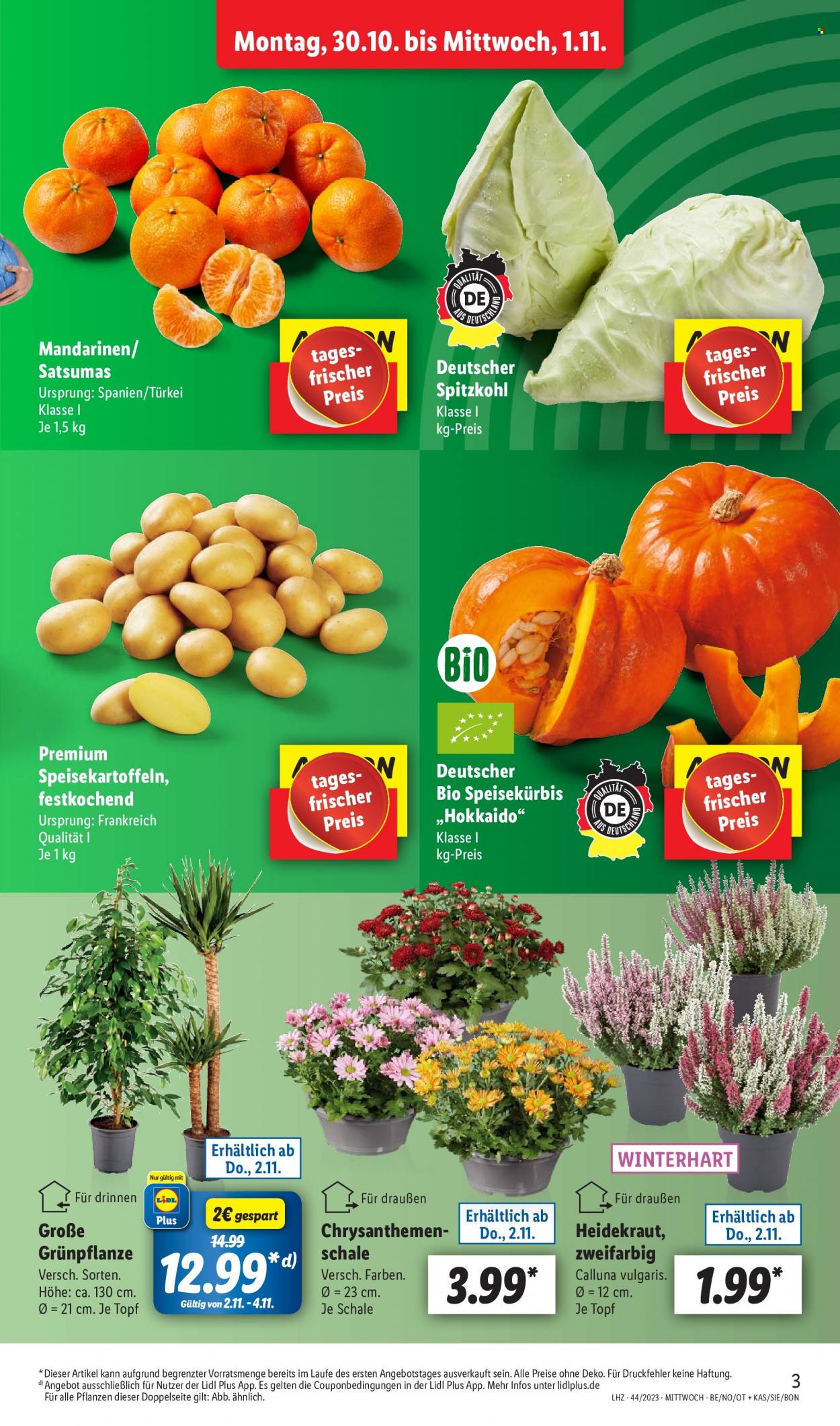 Lidl Prospekte  - 30.10.2023 - 4.11.2023. Seite 3