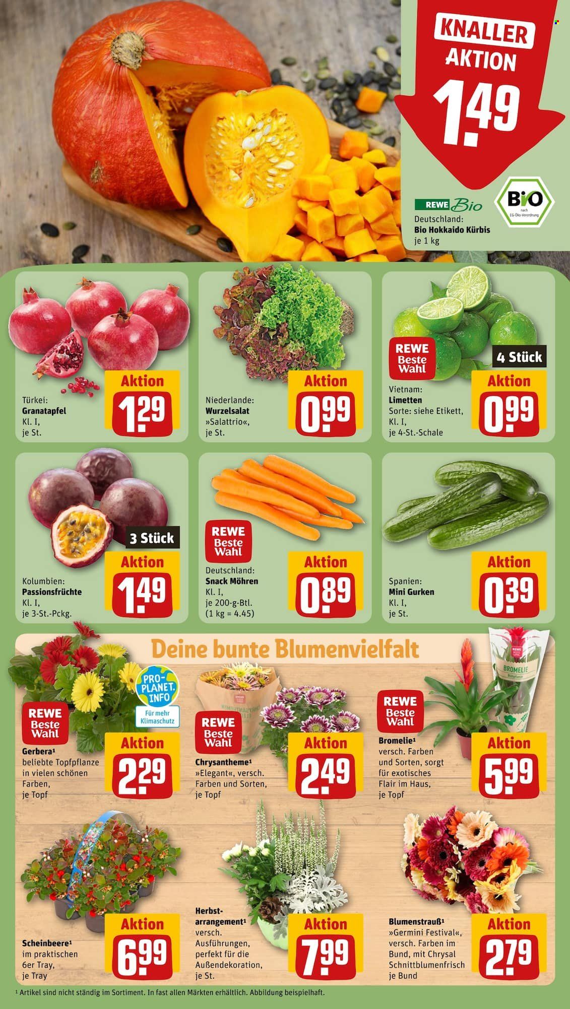 REWE Prospekte  - 23.10.2023 - 28.10.2023. Seite 7