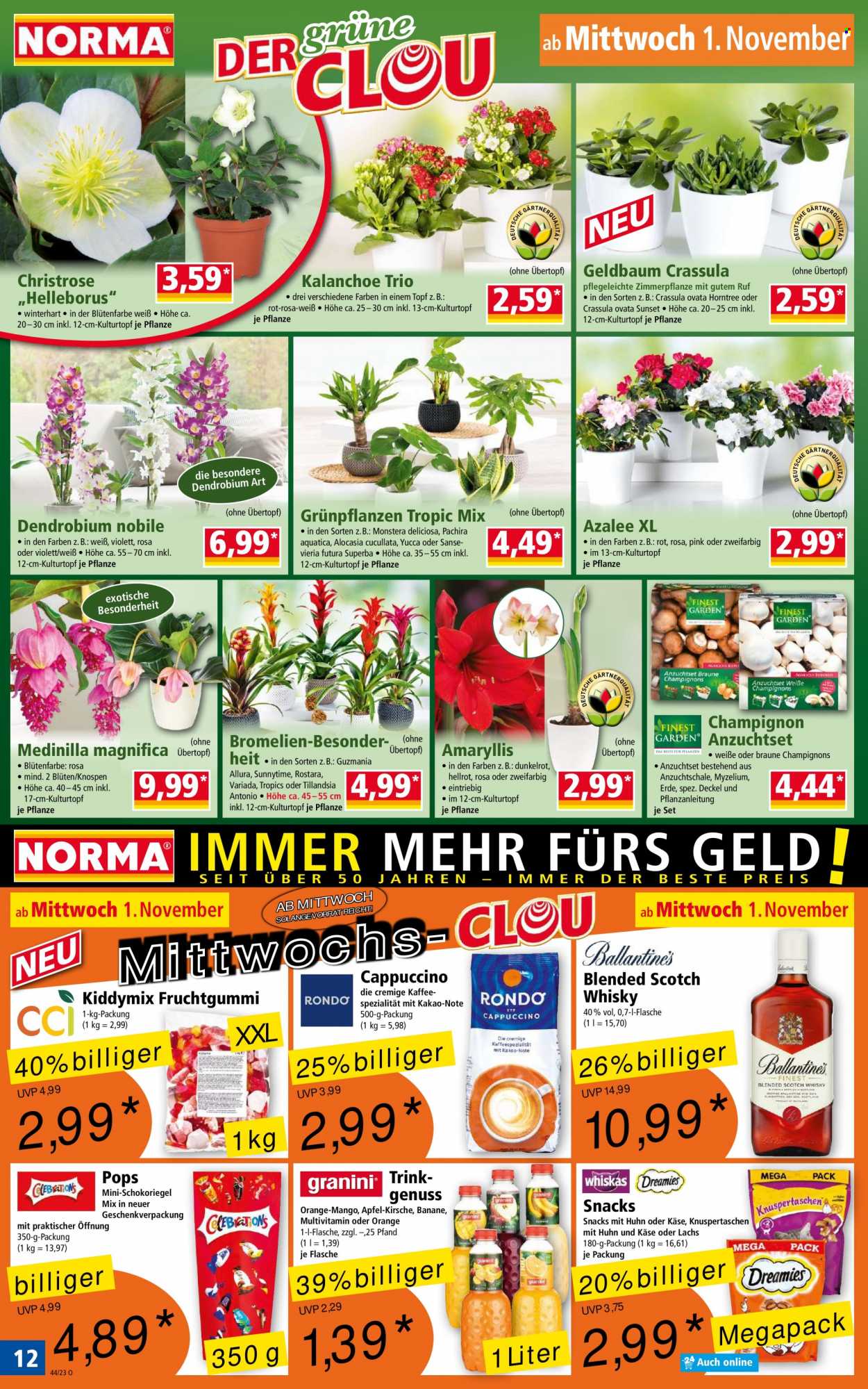 Norma Prospekte  - 30.10.2023 - 5.11.2023. Seite 12