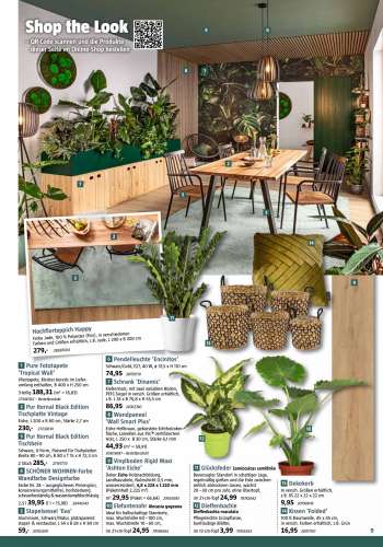 thumbnail - Zamioculcas