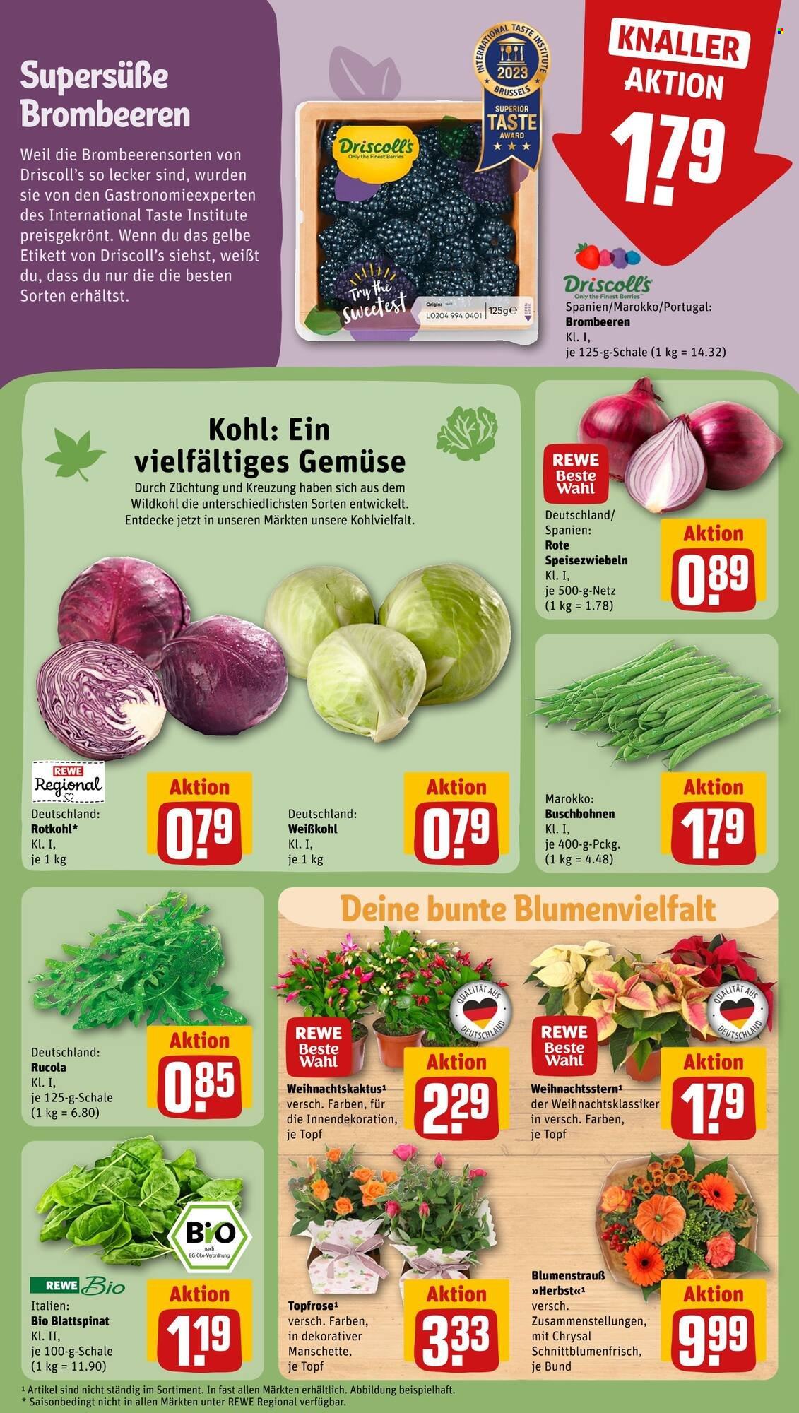 REWE Prospekte  - 30.10.2023 - 4.11.2023. Seite 11